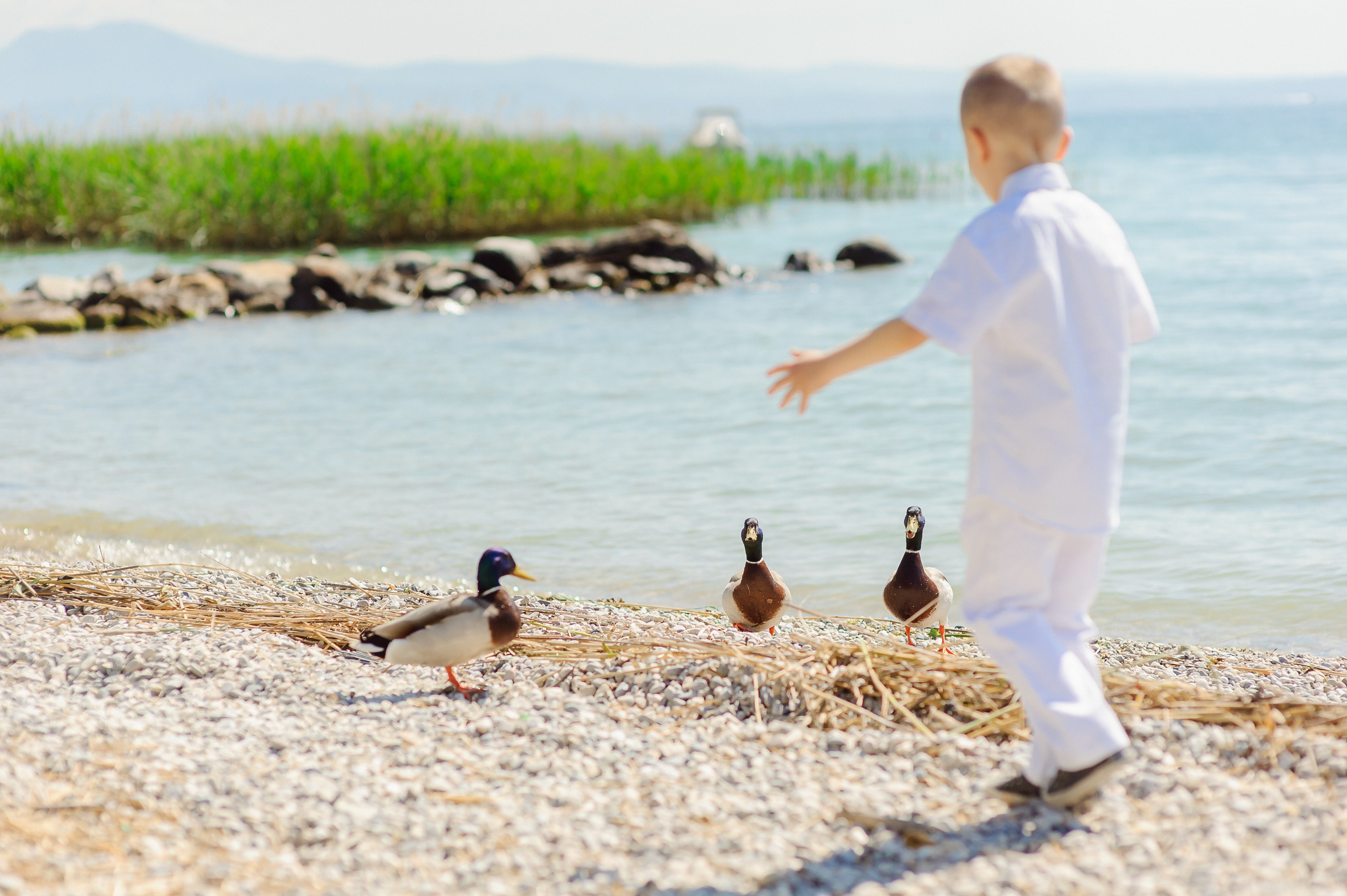 Fam. Surguci (Lago di Garda). Fotograf de nunta Ion Cobzac
