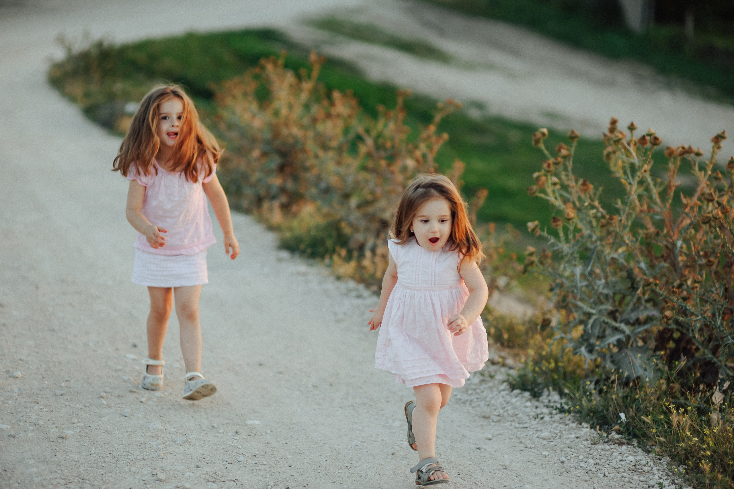 Fam. Gradinaru. Fotograf de nunta Ion Cobzac