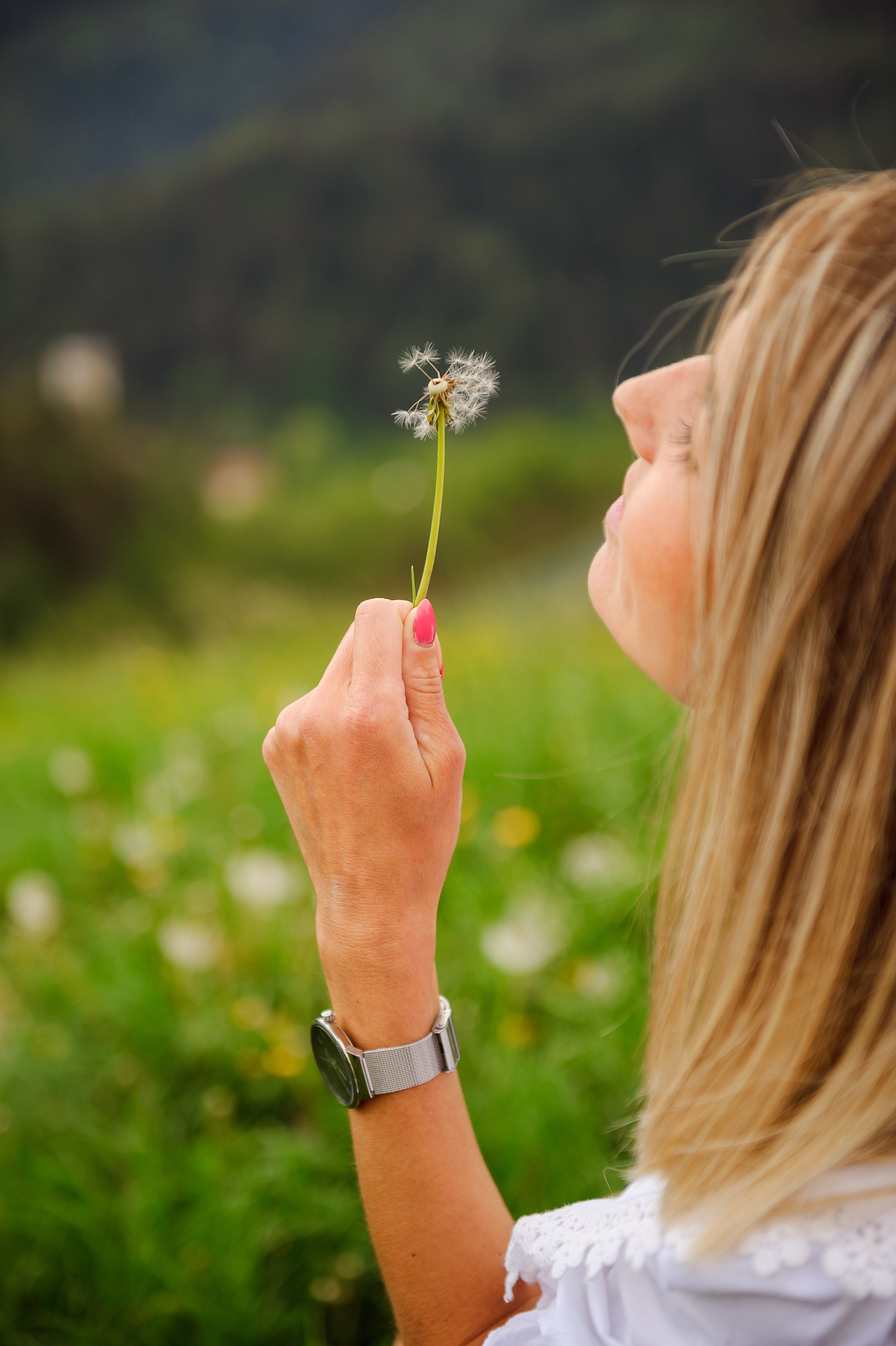 Adrian & Mihaela (Bolzano). Fotograf de nunta Ion Cobzac