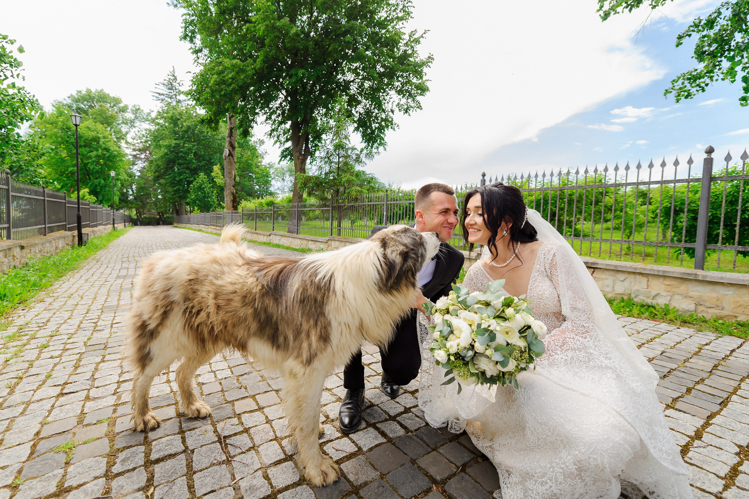 Ovidiu & Mgdalena (Suceava). Fotograf de nunta Ion Cobzac