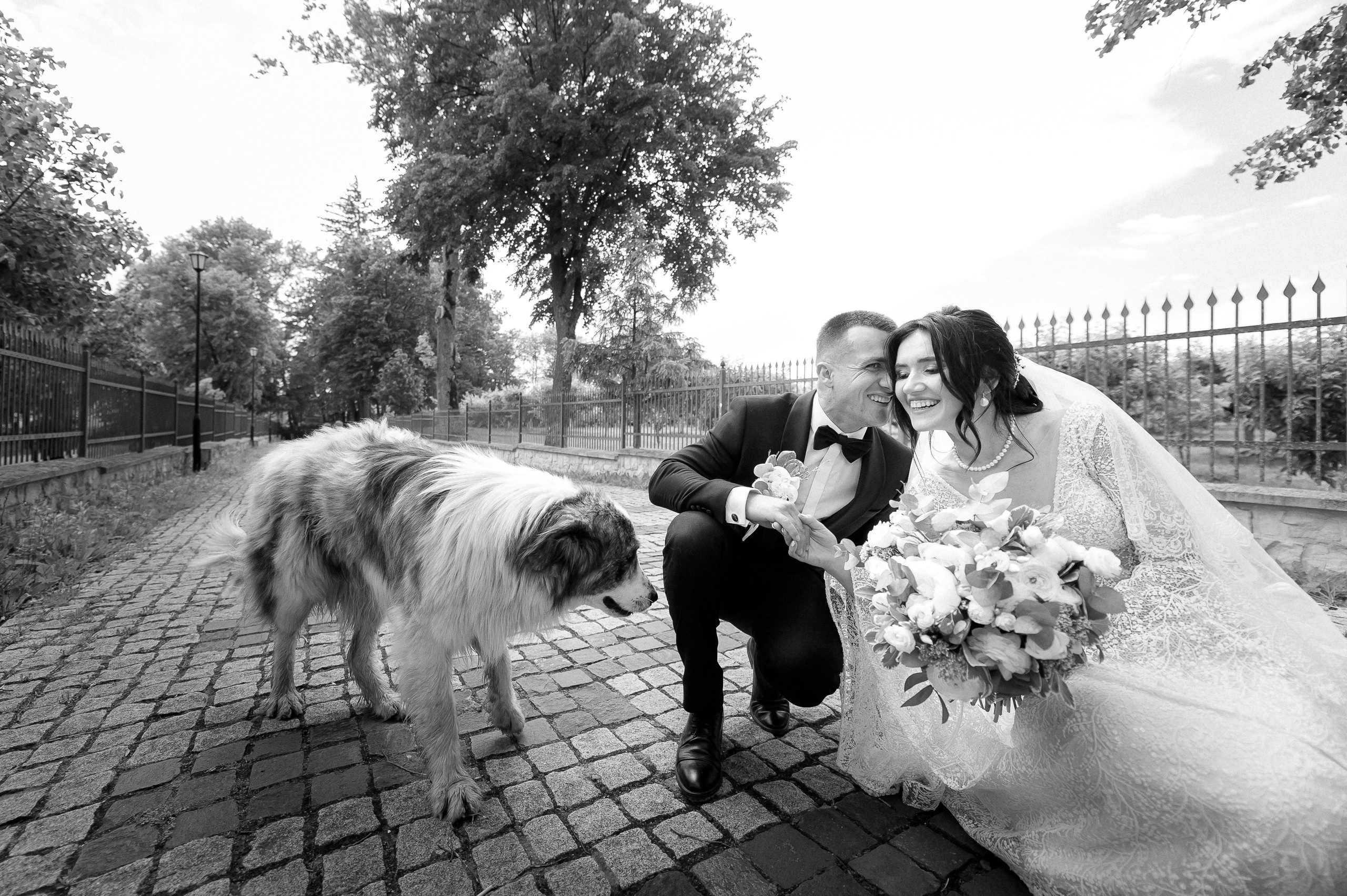 Ovidiu & Mgdalena (Suceava). Fotograf de nunta Ion Cobzac