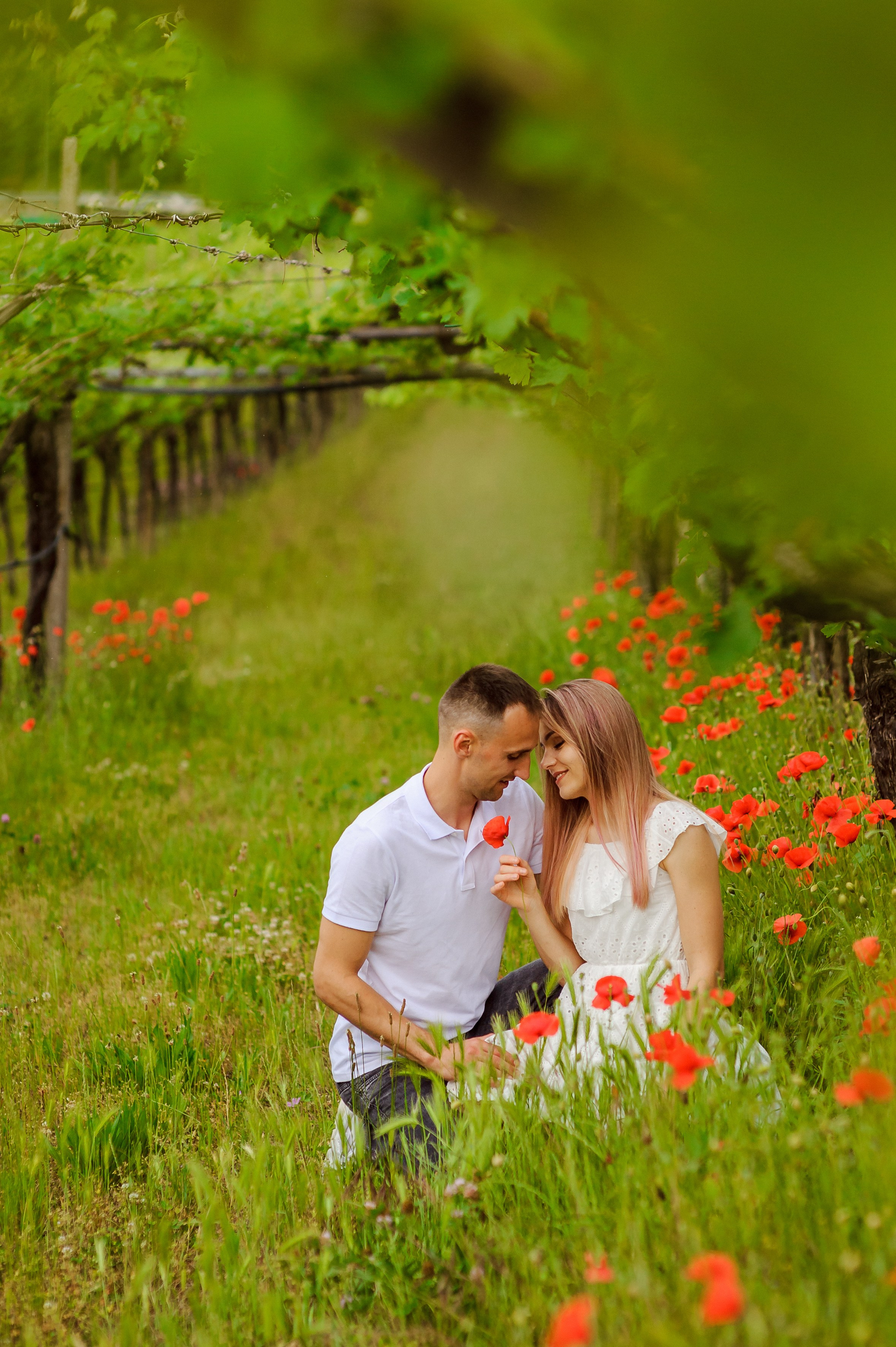 Fam. Miron (Trento). Fotograf de nunta Ion Cobzac