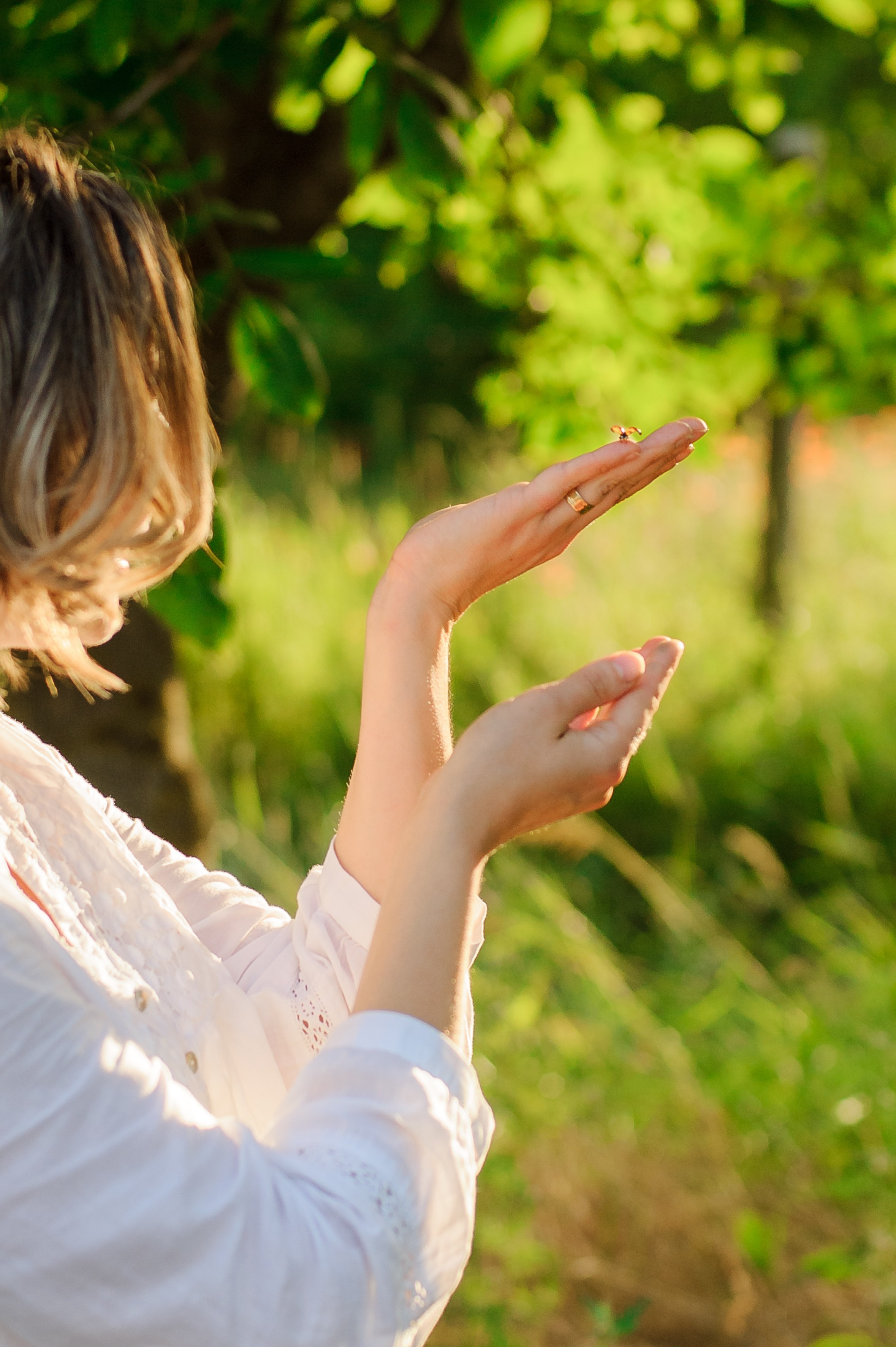 Fam. Coptu. Fotograf de nunta Ion Cobzac