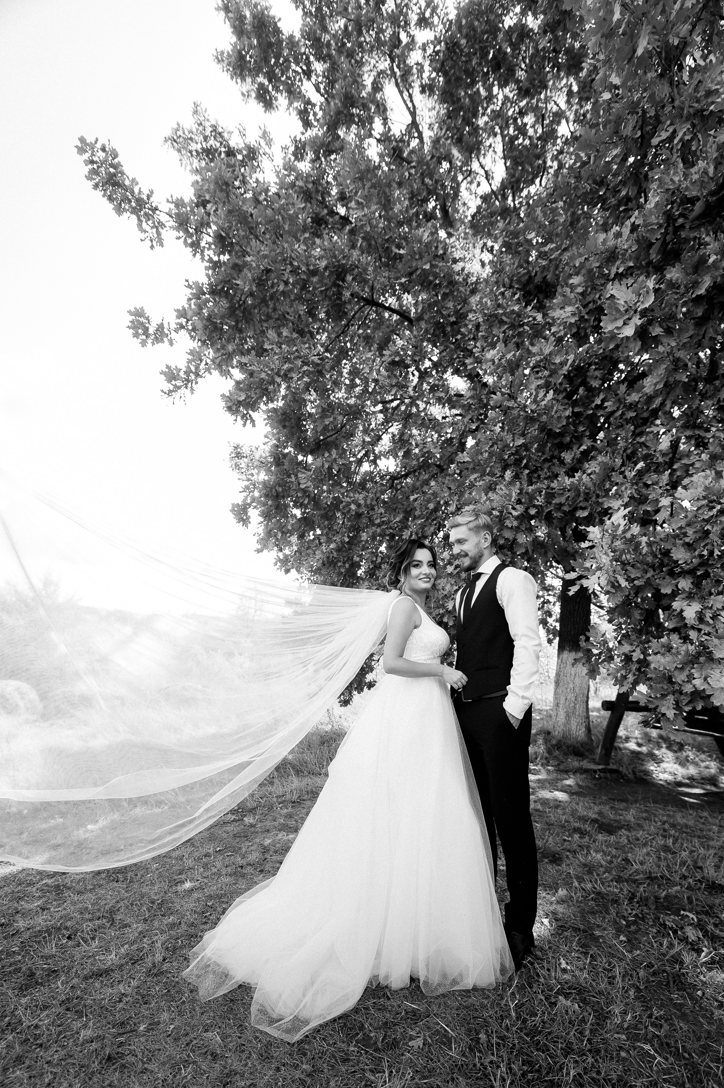 Marin & Doina. Fotograf de nunta Ion Cobzac