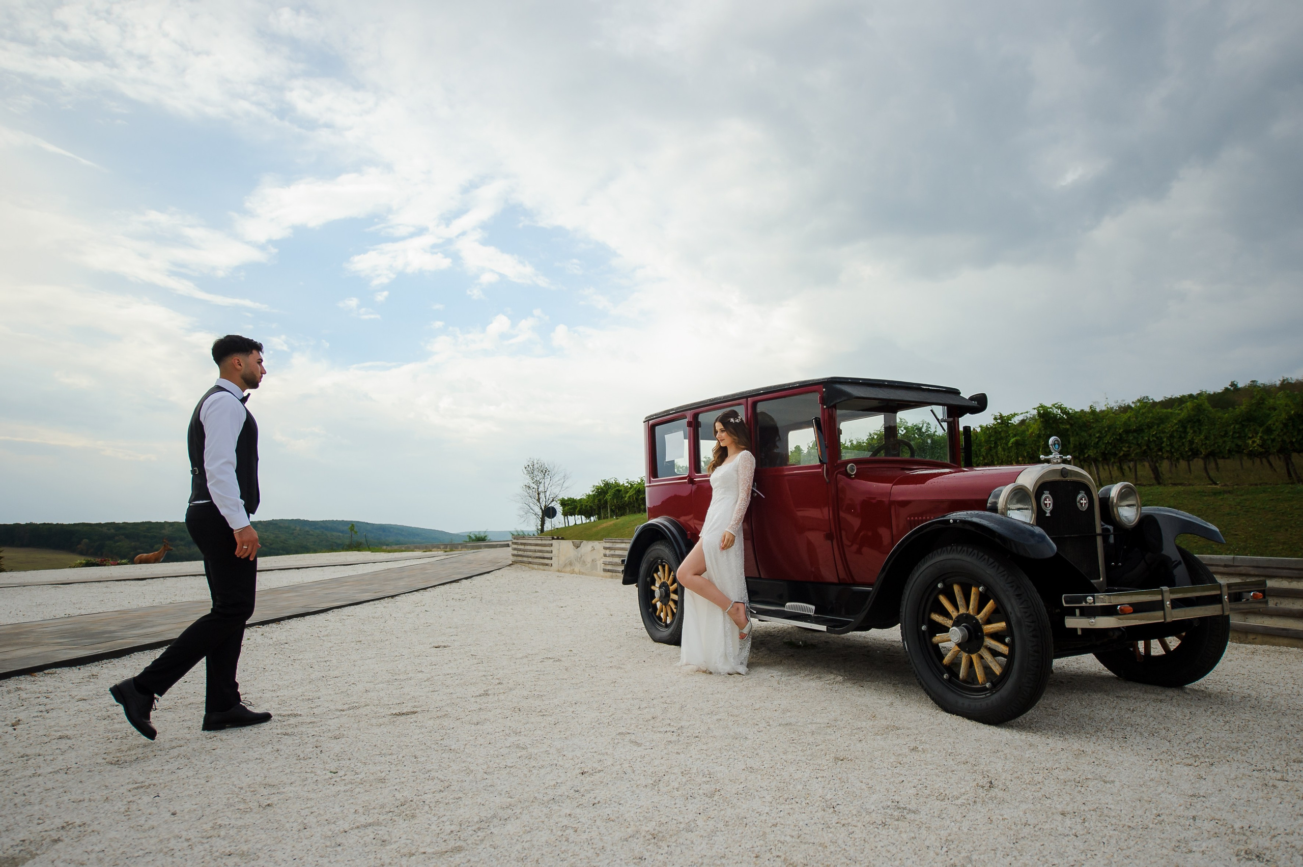 Eugeniu & Marina (parte I). Fotograf de nunta Ion Cobzac