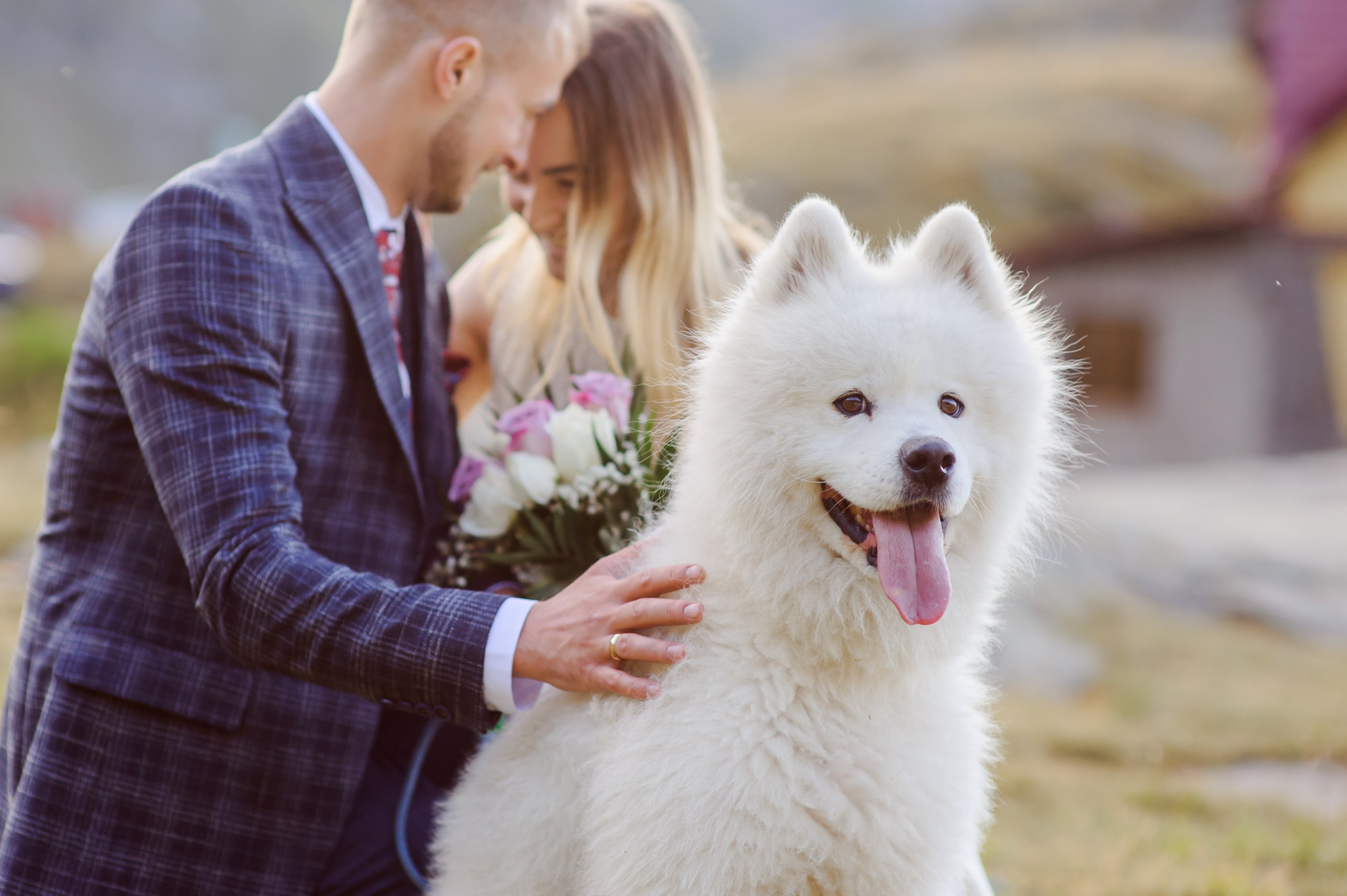 Pavel & Ana (cota 2034 Lacul Bâlea). Fotograf de nunta Ion Cobzac
