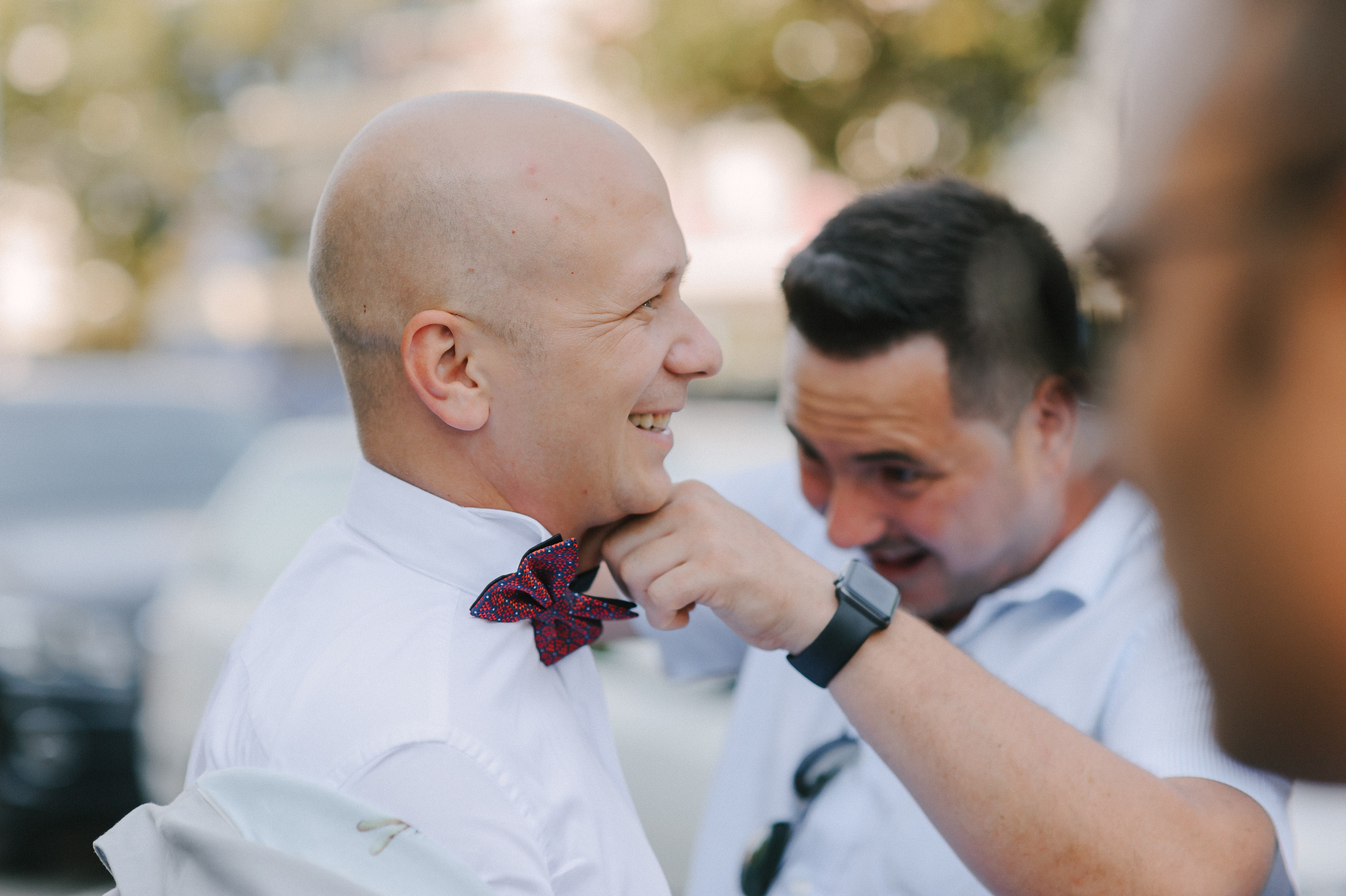 Alin & Mara (Iasi). Fotograf de nunta Ion Cobzac