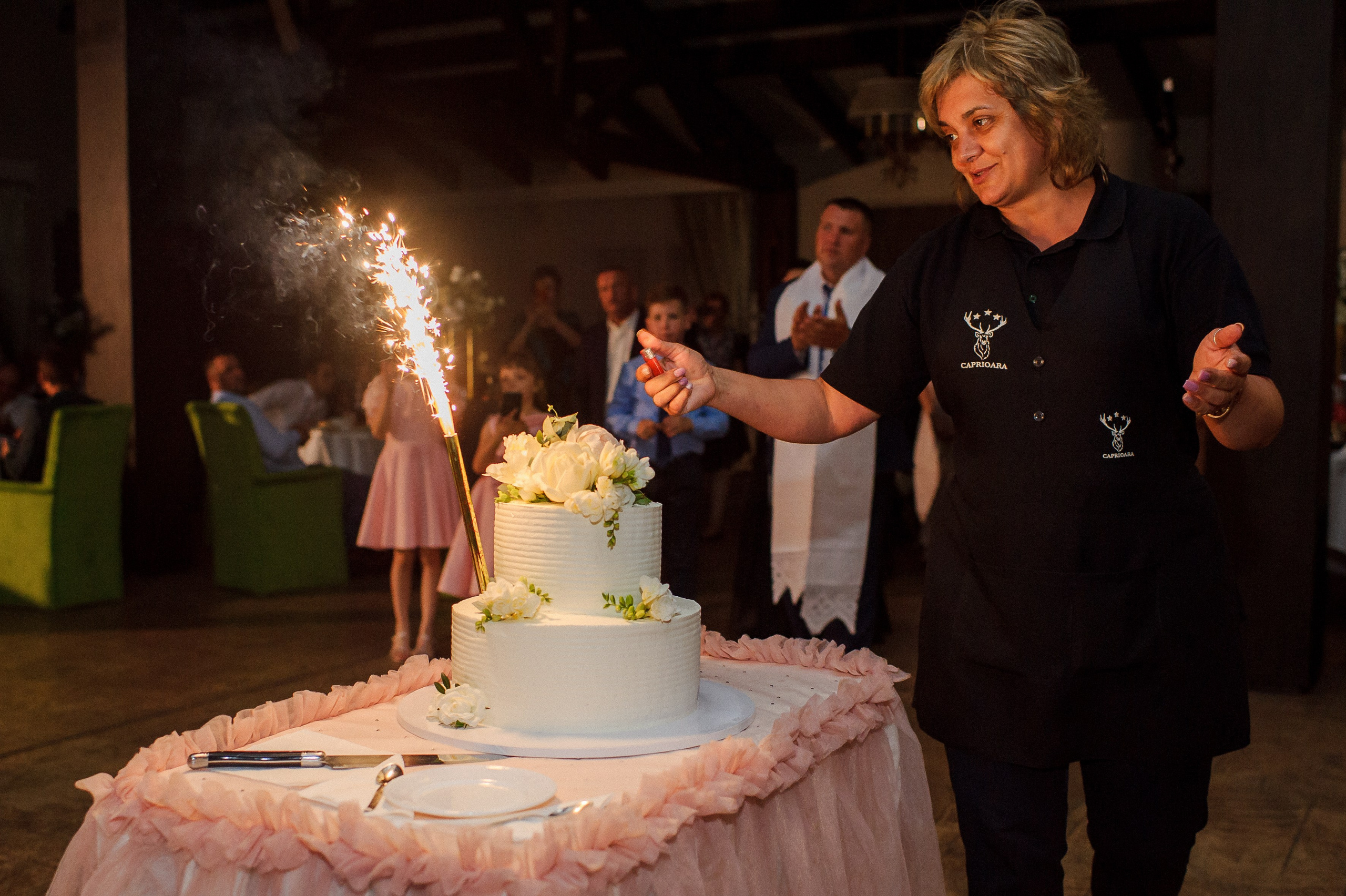 Ovidiu & Mgdalena (Suceava). Fotograf de nunta Ion Cobzac