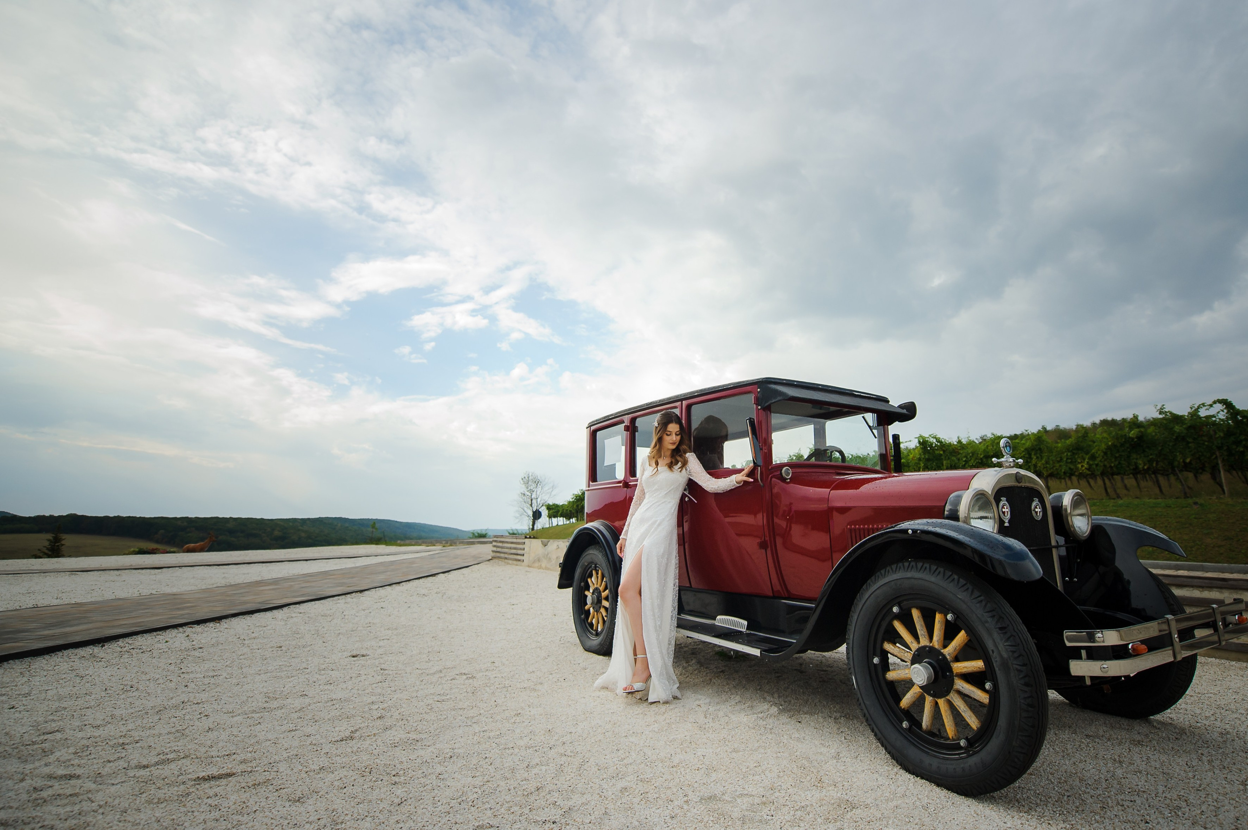 Eugeniu & Marina (parte I). Fotograf de nunta Ion Cobzac