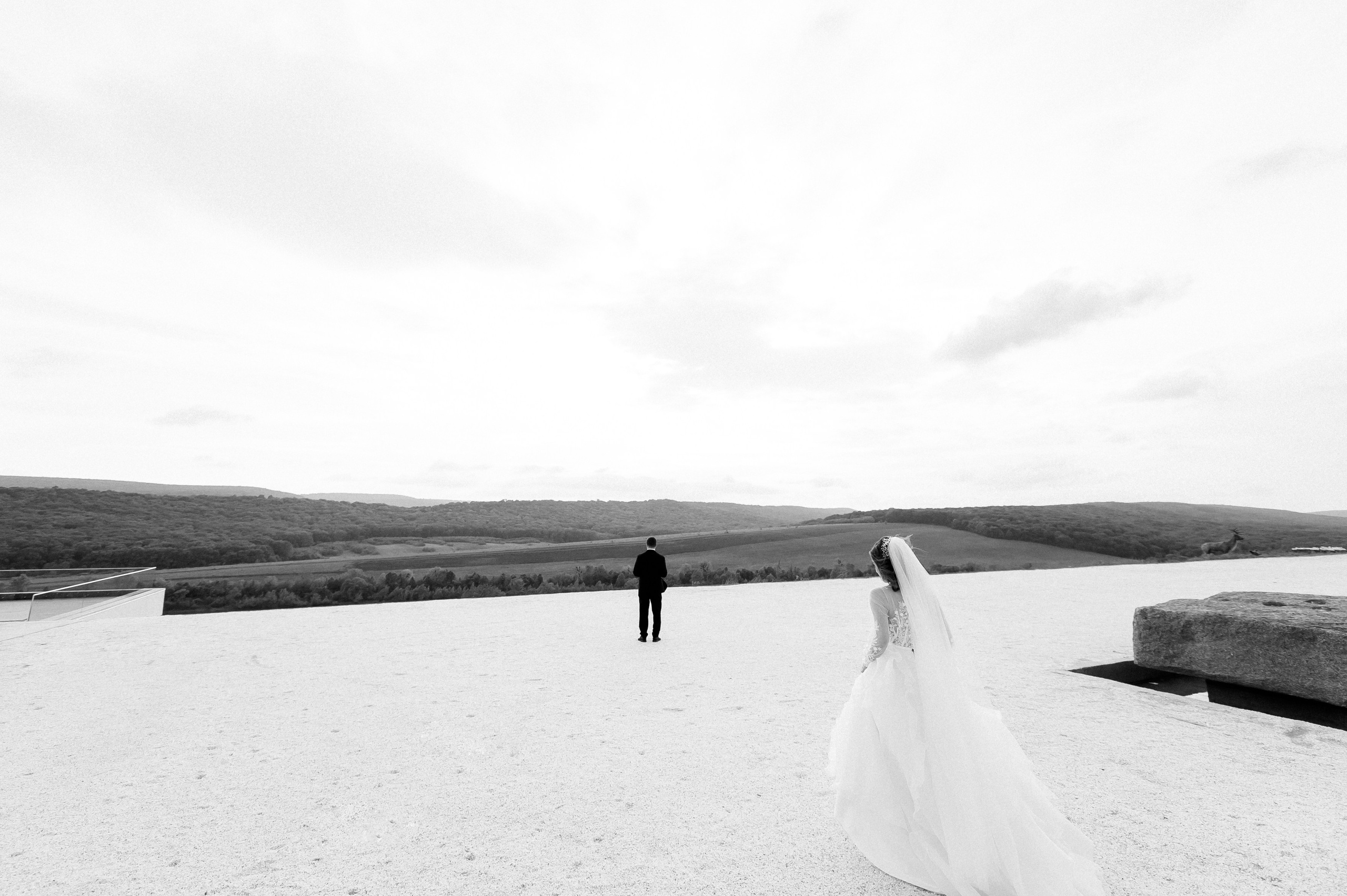 Victor & Lina. Fotograf de nunta Ion Cobzac