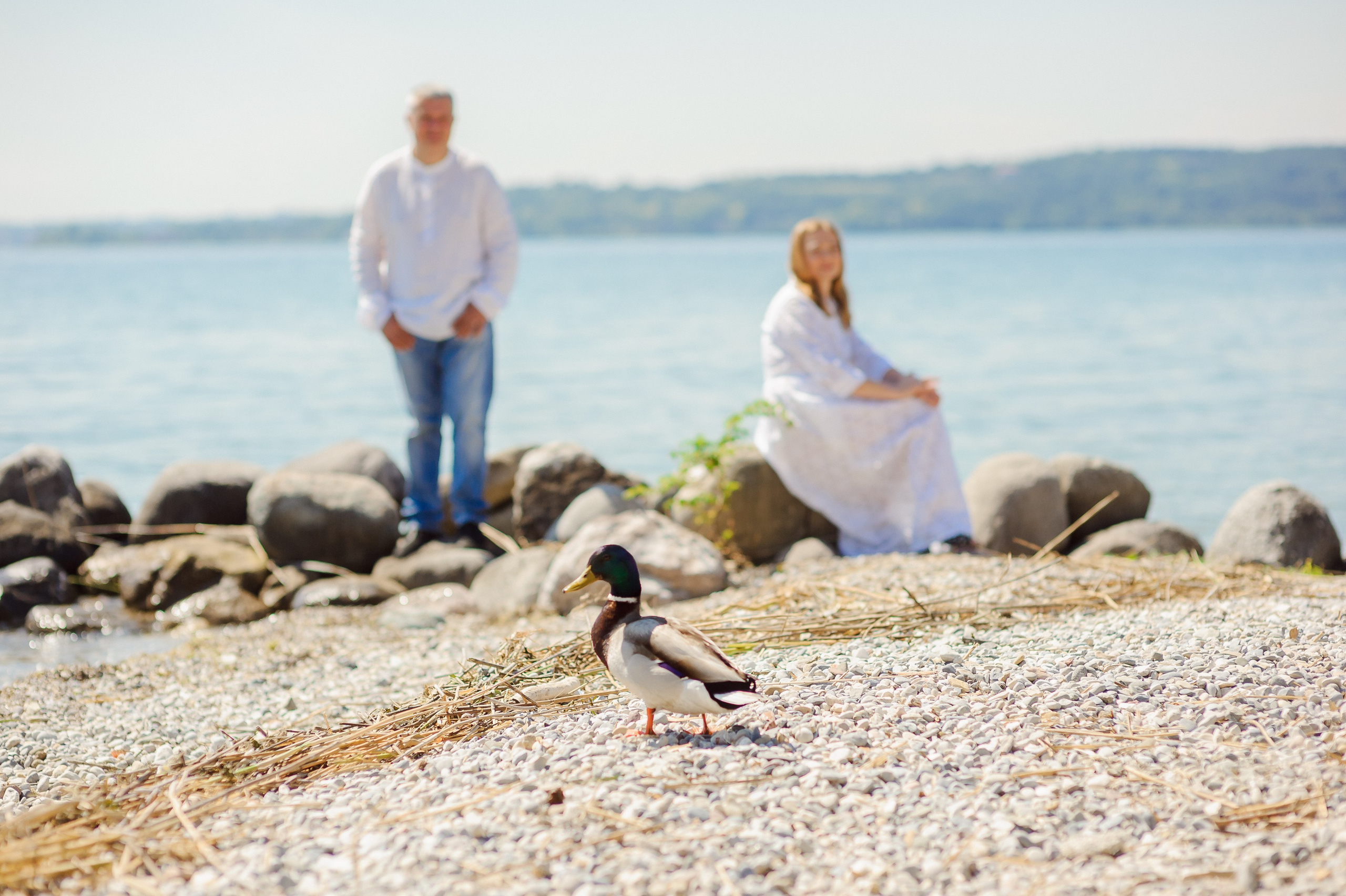 Fam. Surguci (Lago di Garda). Fotograf de nunta Ion Cobzac