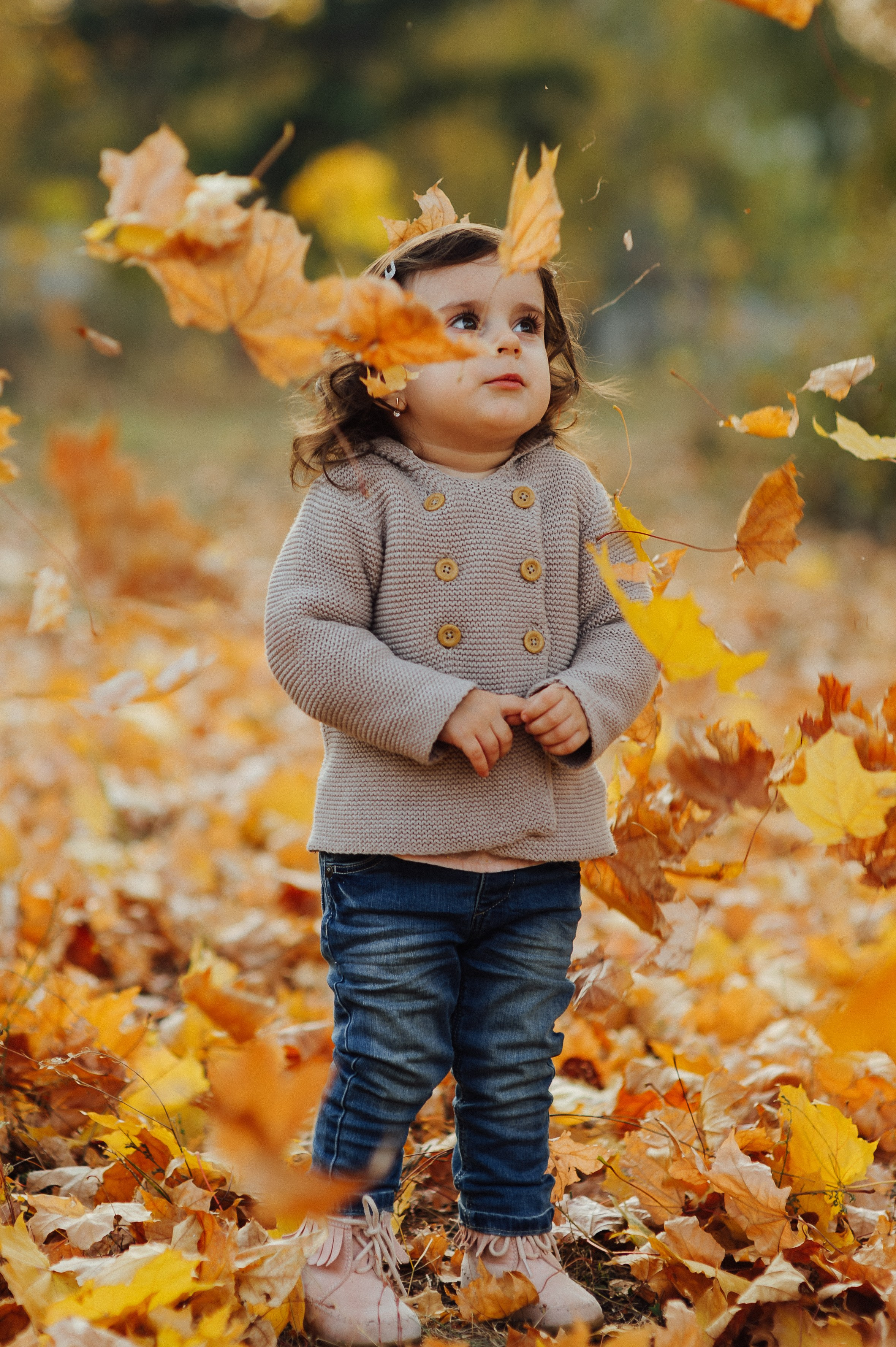 Fam. Lupusor. Fotograf de nunta Ion Cobzac