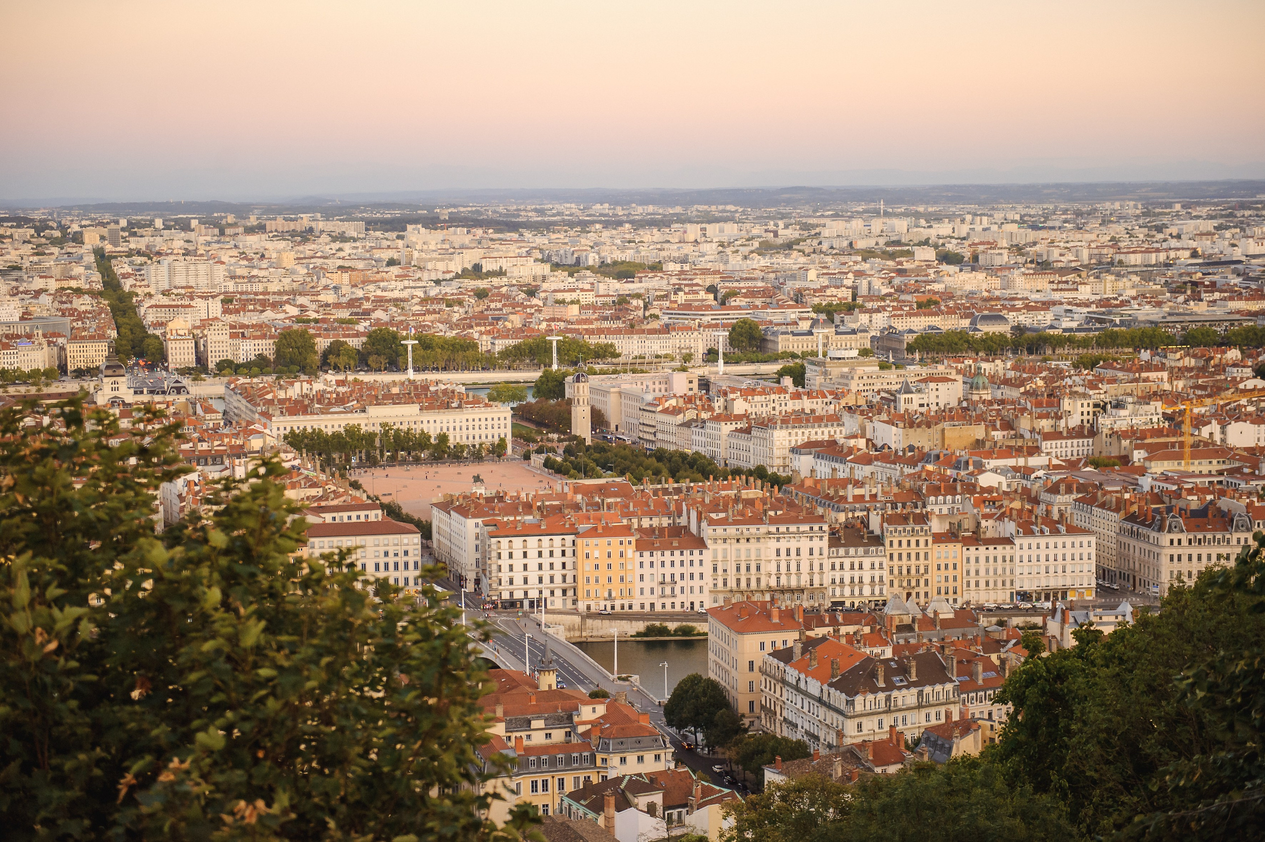 Fam. Lupu (Lion). Fotograf de nunta Ion Cobzac