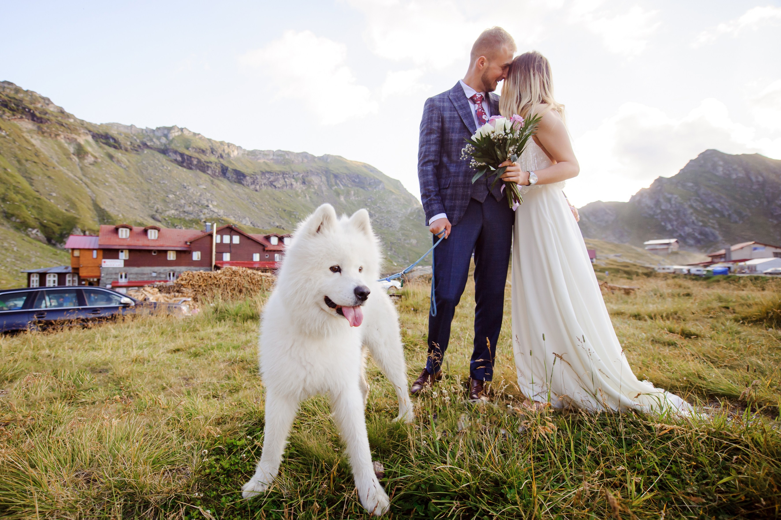 ion cobzac fotograf de nunta