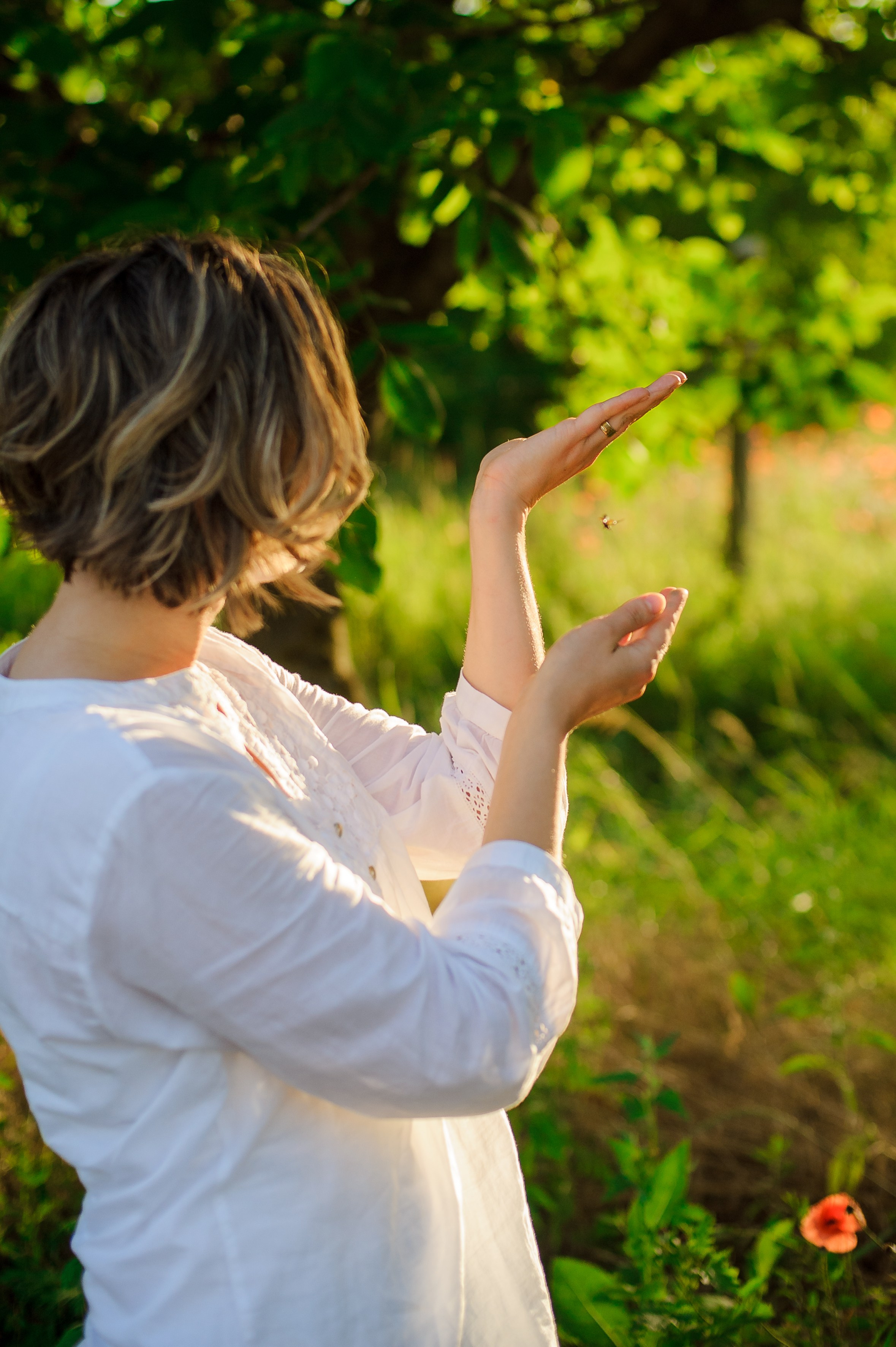 Fam. Coptu. Fotograf de nunta Ion Cobzac
