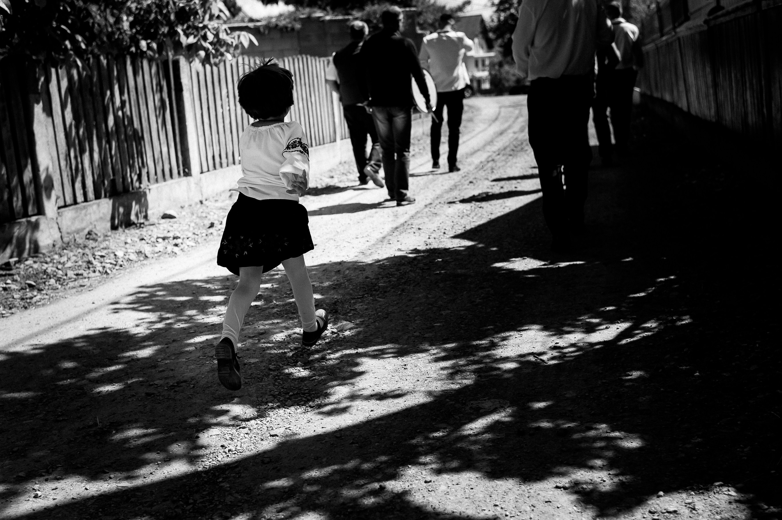 Ovidiu & Mgdalena (Suceava). Fotograf de nunta Ion Cobzac