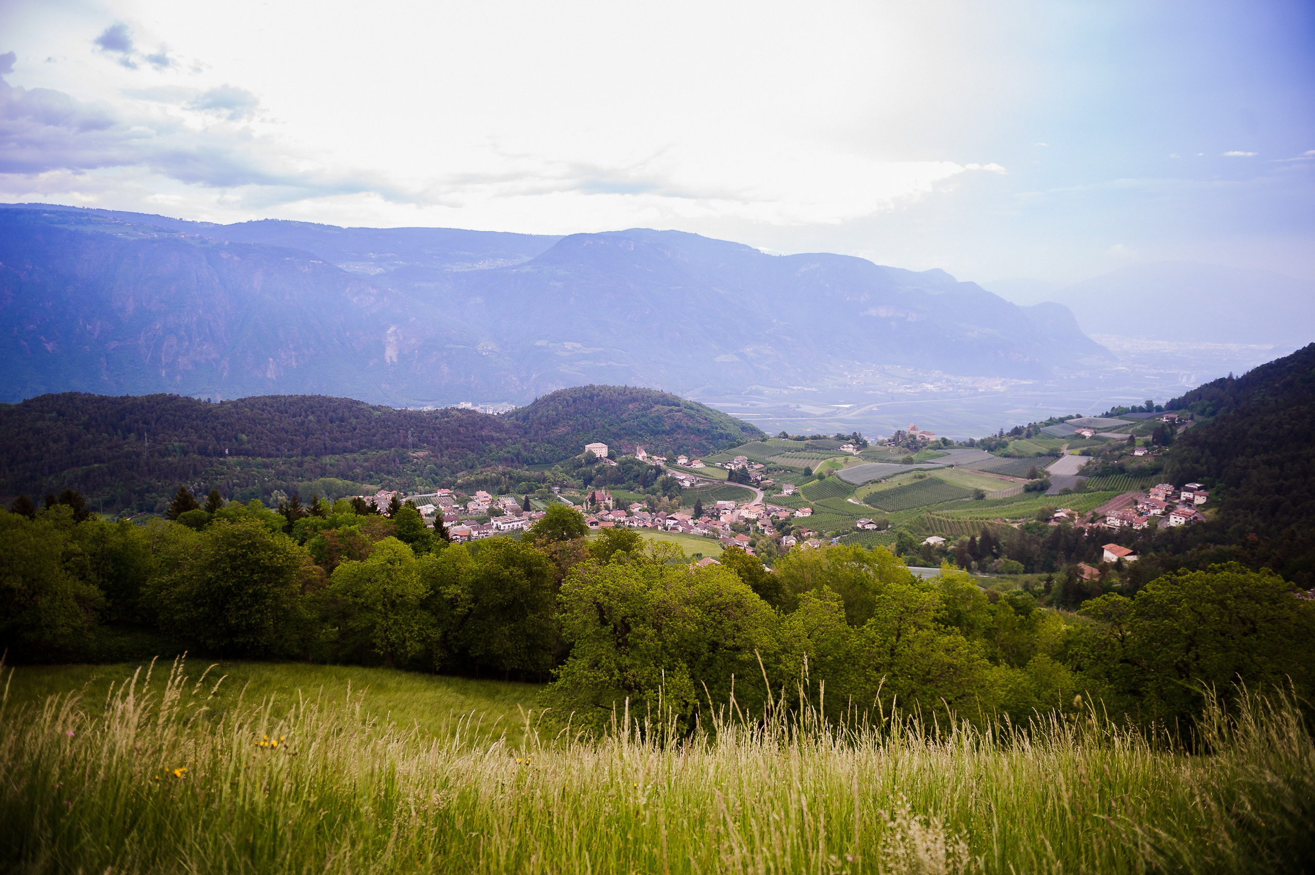 Adrian & Mihaela (Bolzano). Fotograf de nunta Ion Cobzac