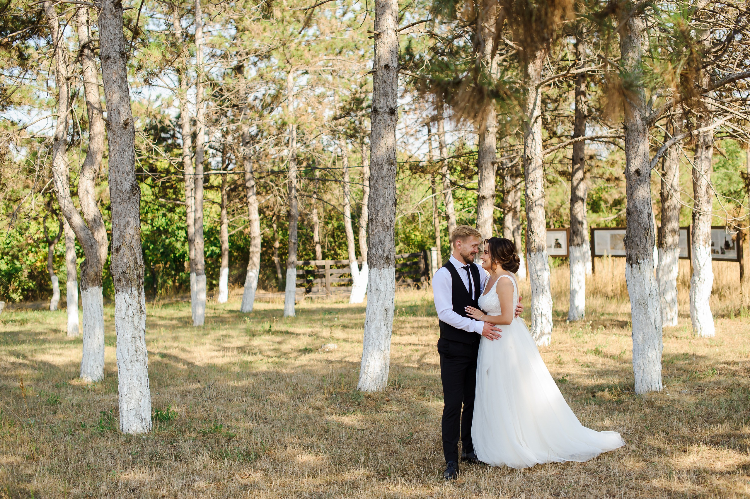 Marin & Doina. Fotograf de nunta Ion Cobzac