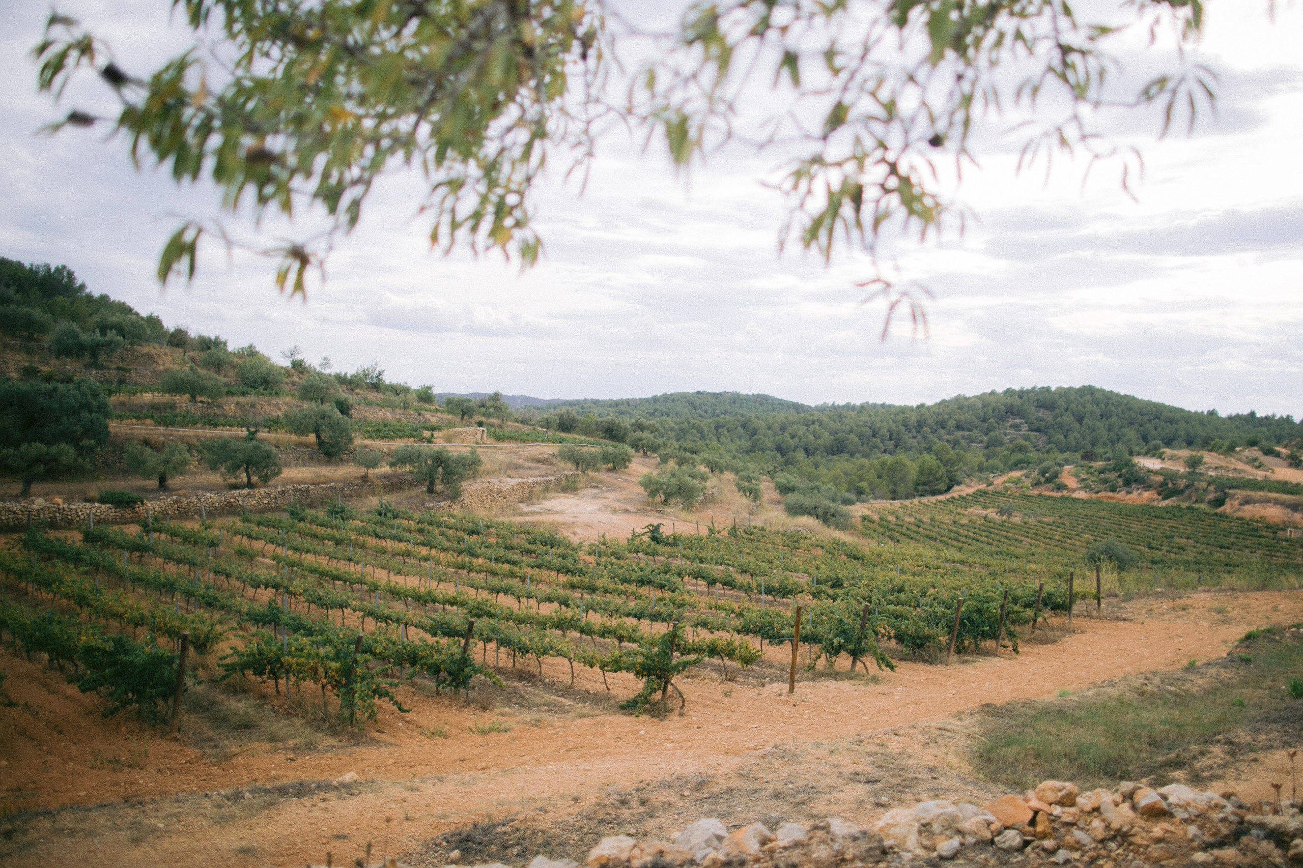 Boda en Tarragona, España. Yarets Studio | Videógrafos y Fotografía de Bodas | Barcelona