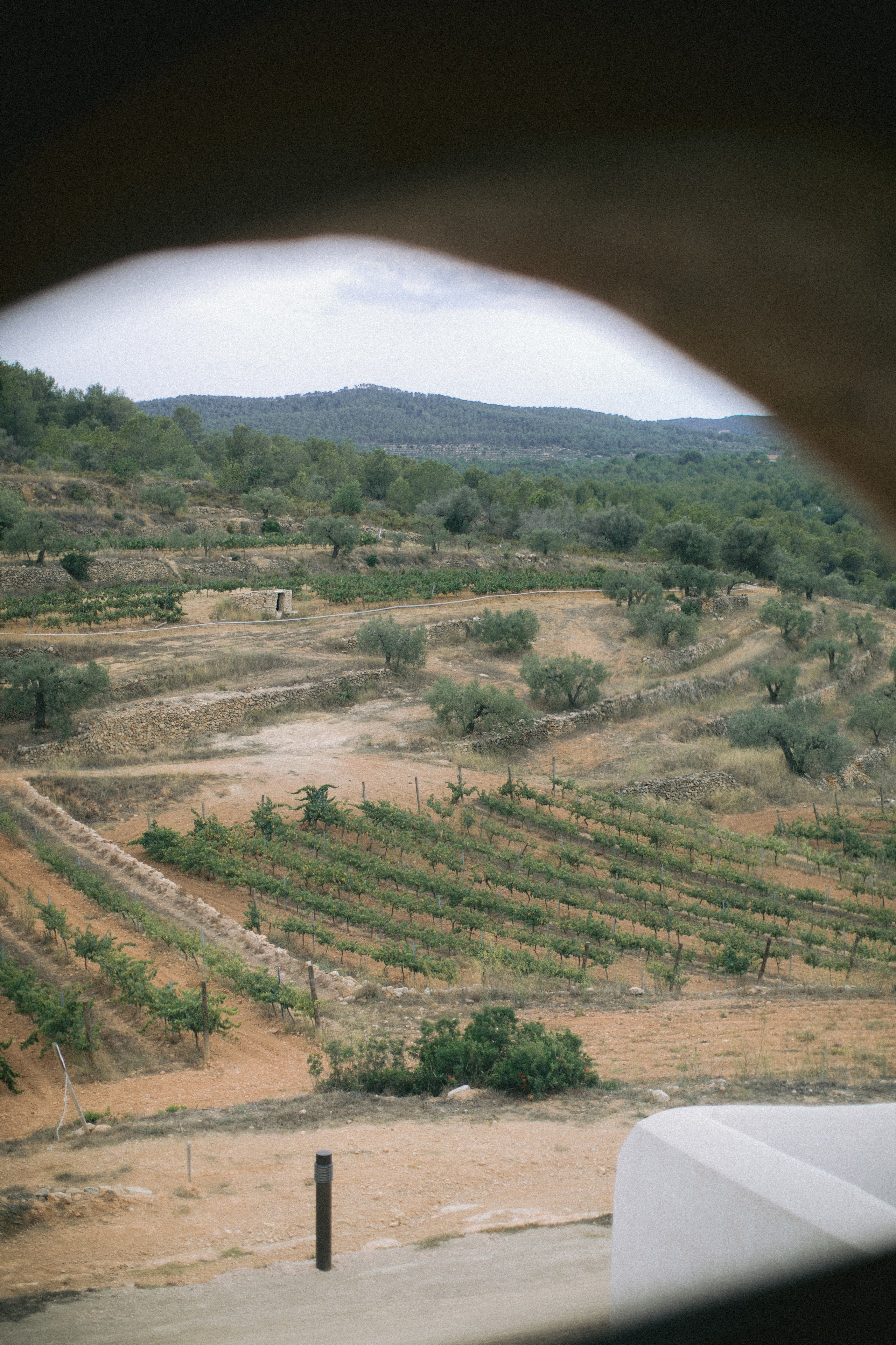 Boda en Tarragona, España. Yarets Studio | Videógrafos y Fotografía de Bodas | Barcelona