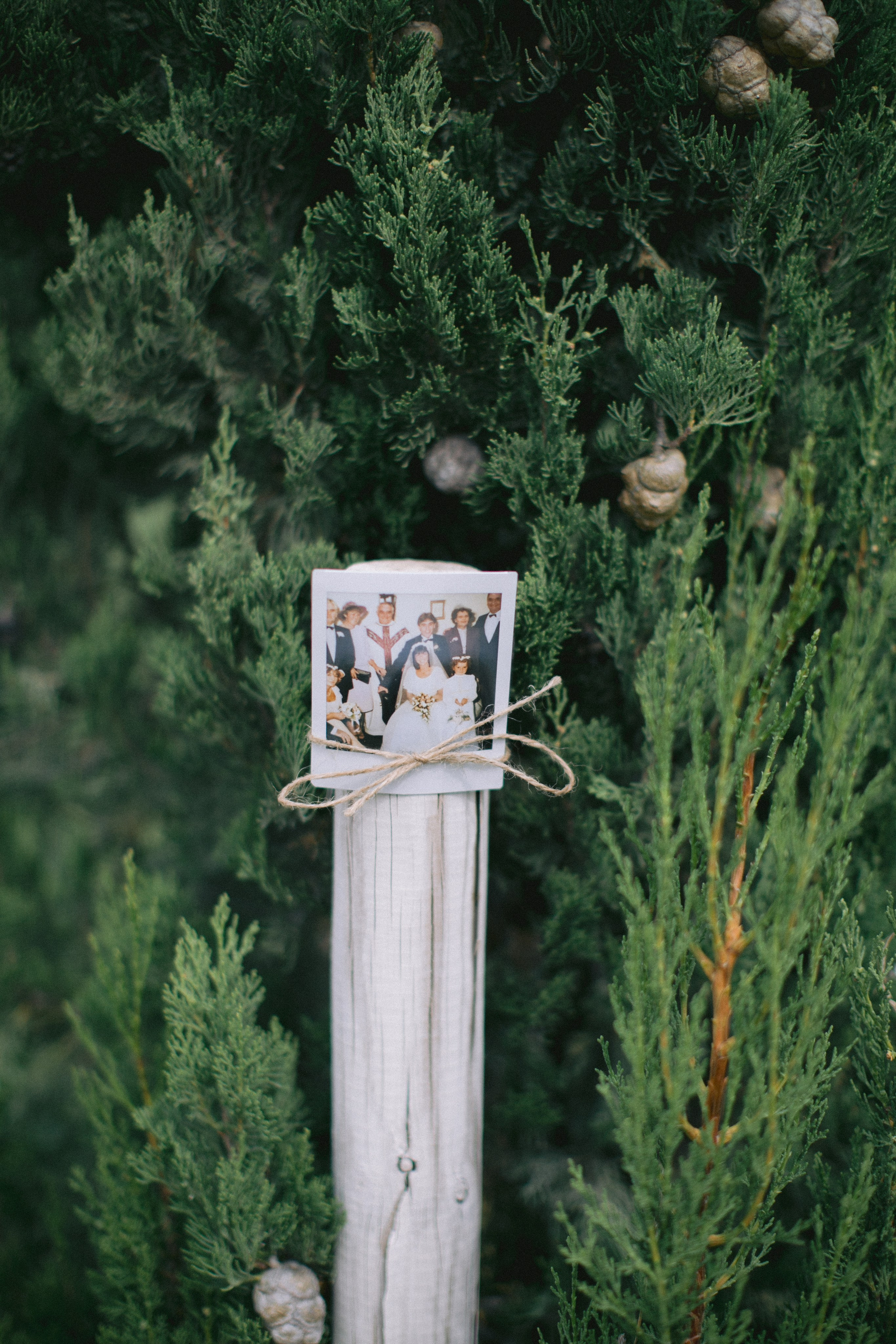 Boda en Tarragona, España. Yarets Studio | Videógrafos y Fotografía de Bodas | Barcelona