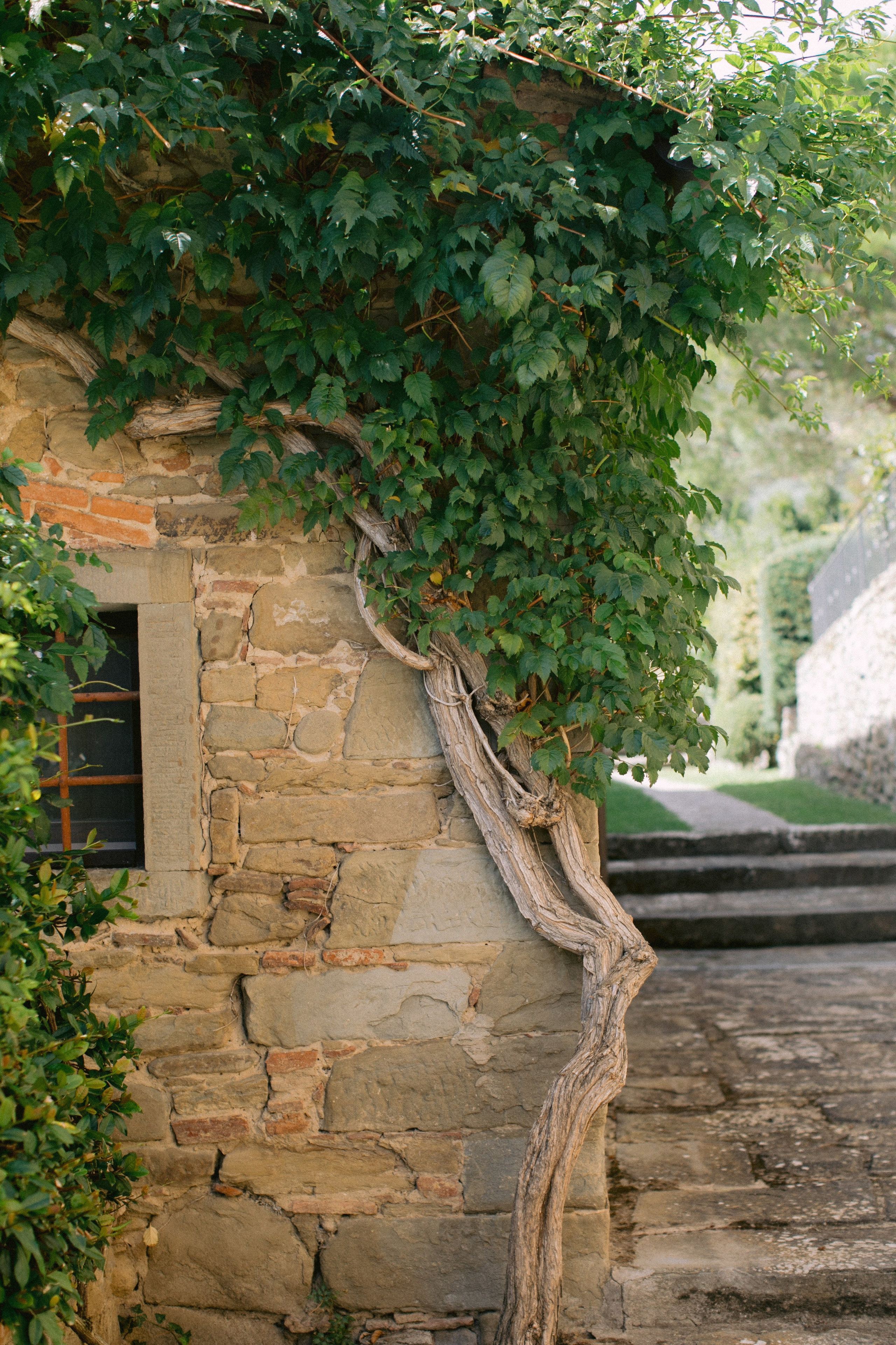 Boda en Cortona, Italia. Yarets Studio | Videógrafos y Fotografía de Bodas | Barcelona