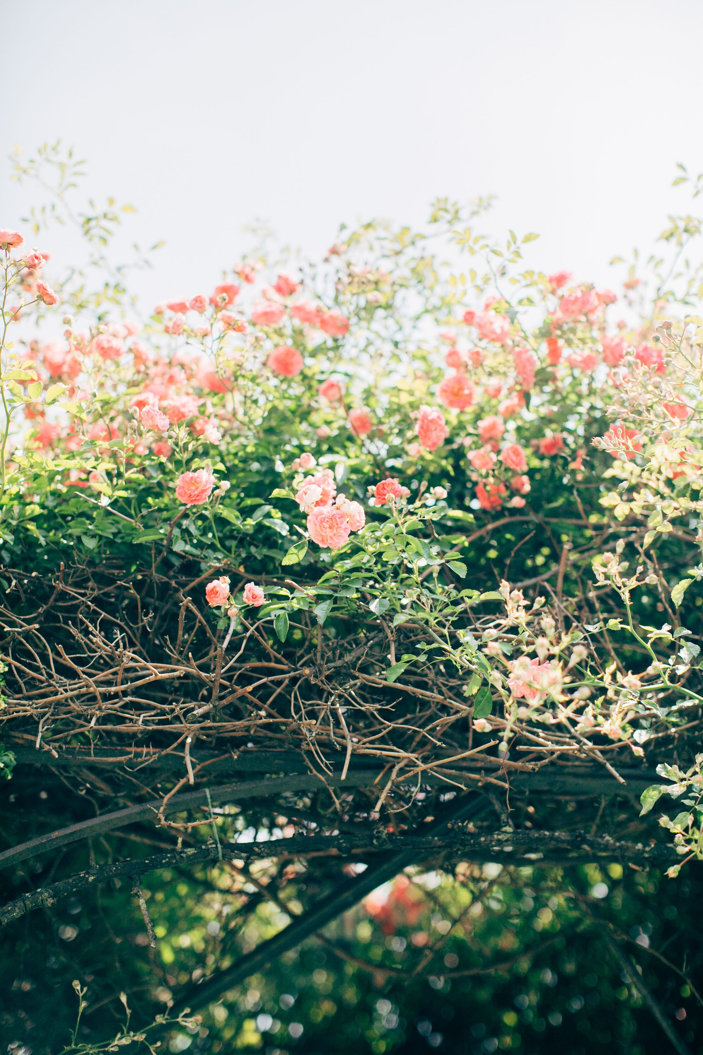 Destination Wedding in Bellagio, Italy | Yarets Studio. Wedding Photographer & Videographer Barcelona Spain & Europe | Yarets Studio