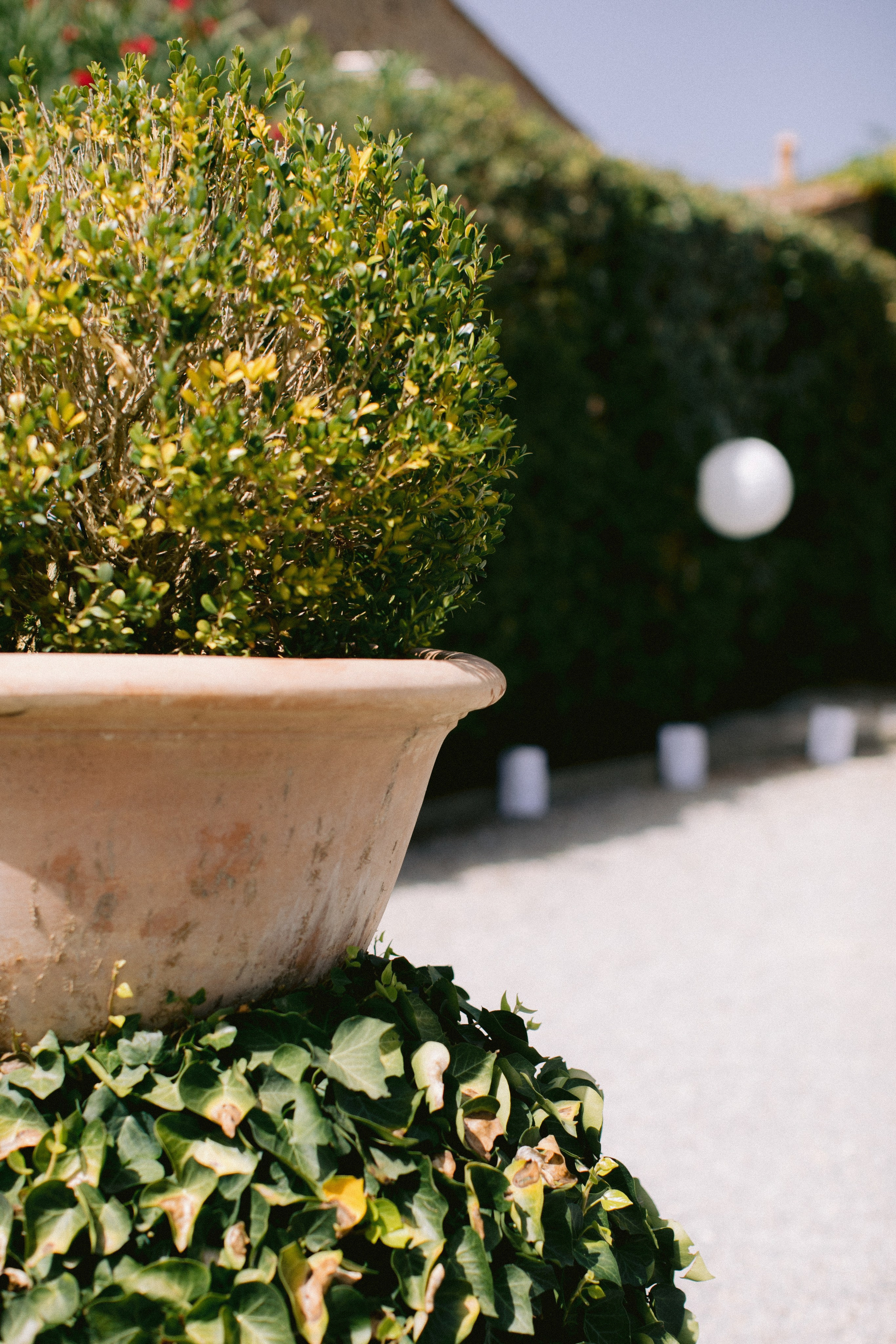 Boda en Cortona, Italia. Yarets Studio | Videógrafos y Fotografía de Bodas | Barcelona