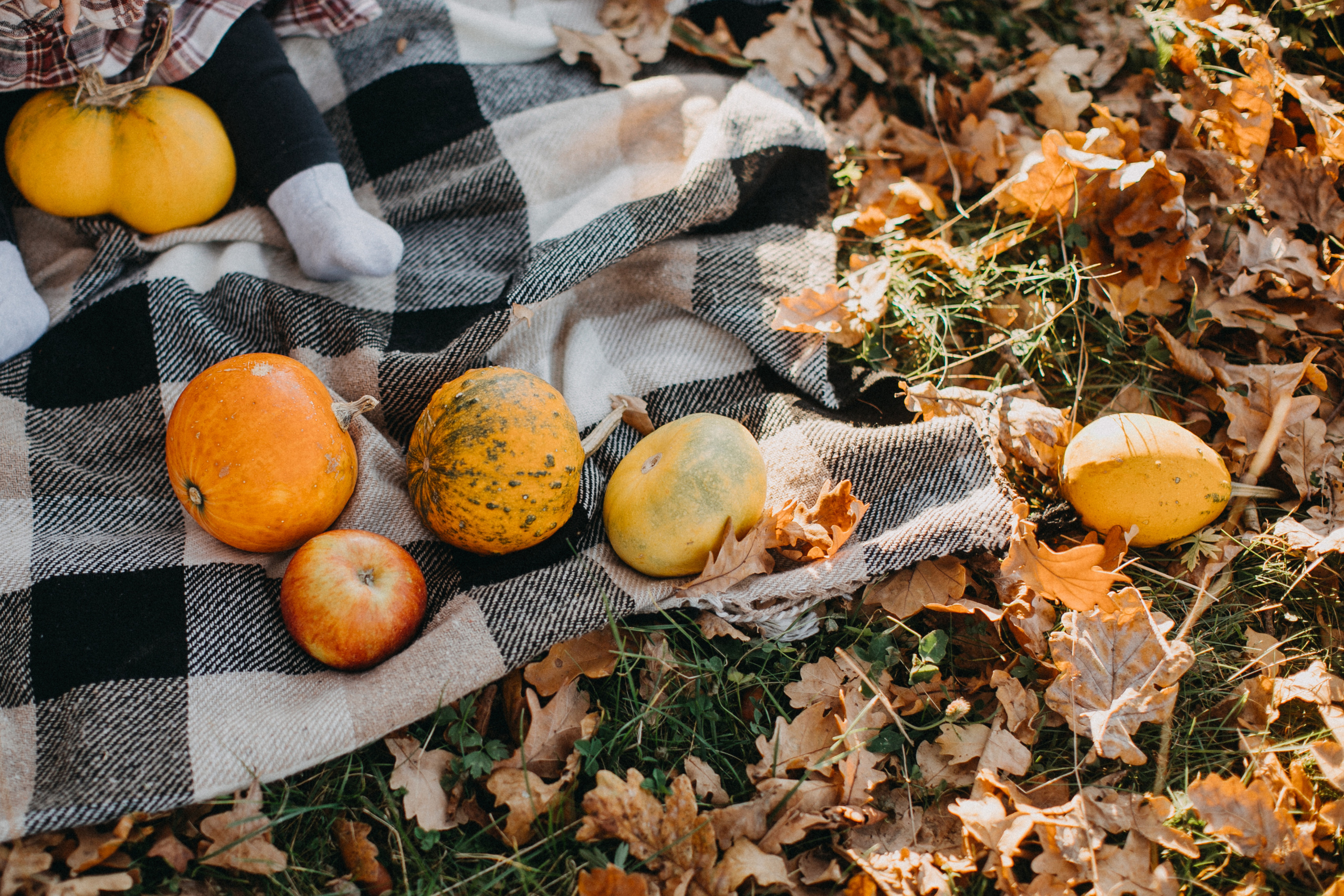Вeautiful october. Yarets Studio | Videógrafos y Fotografía de Bodas | Barcelona