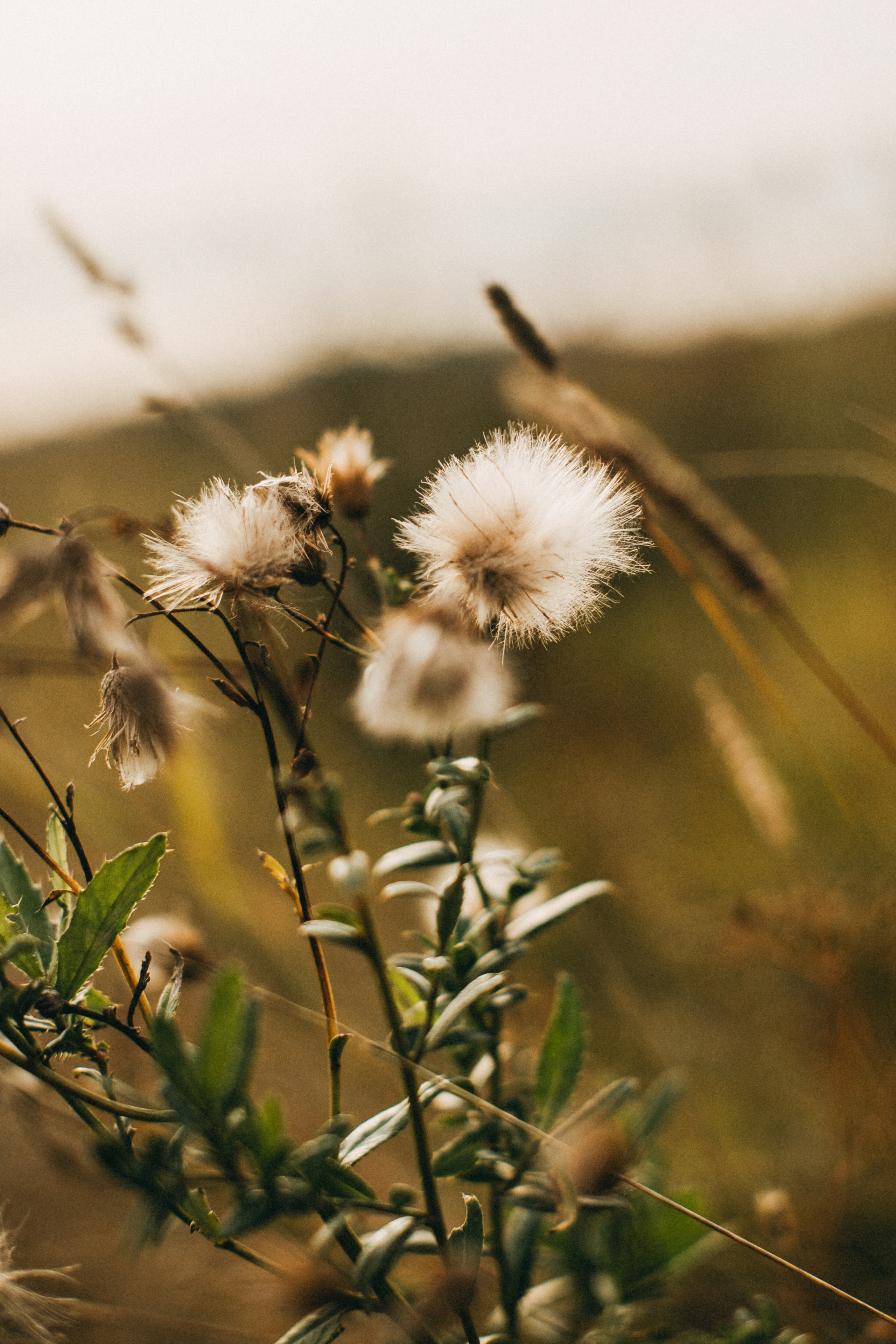 Summer story. Yarets Studio | Videógrafos y Fotografía de Bodas | Barcelona
