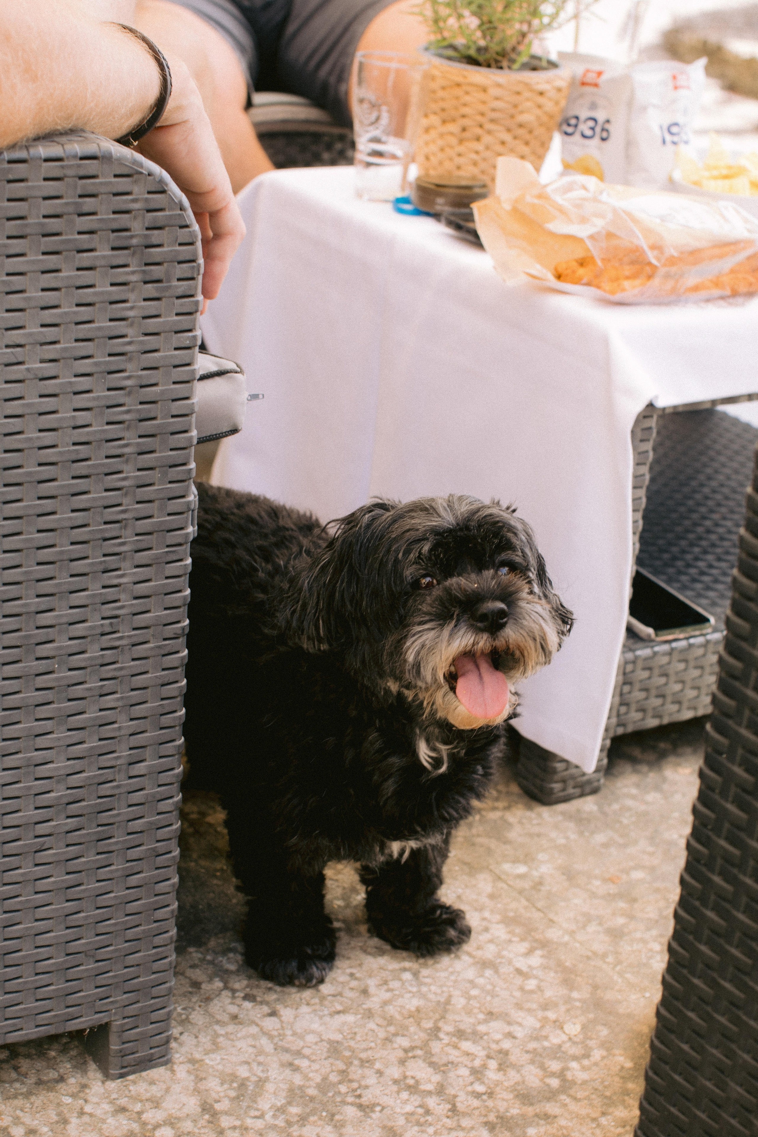 Boda en Cortona, Italia. Yarets Studio | Videógrafos y Fotografía de Bodas | Barcelona
