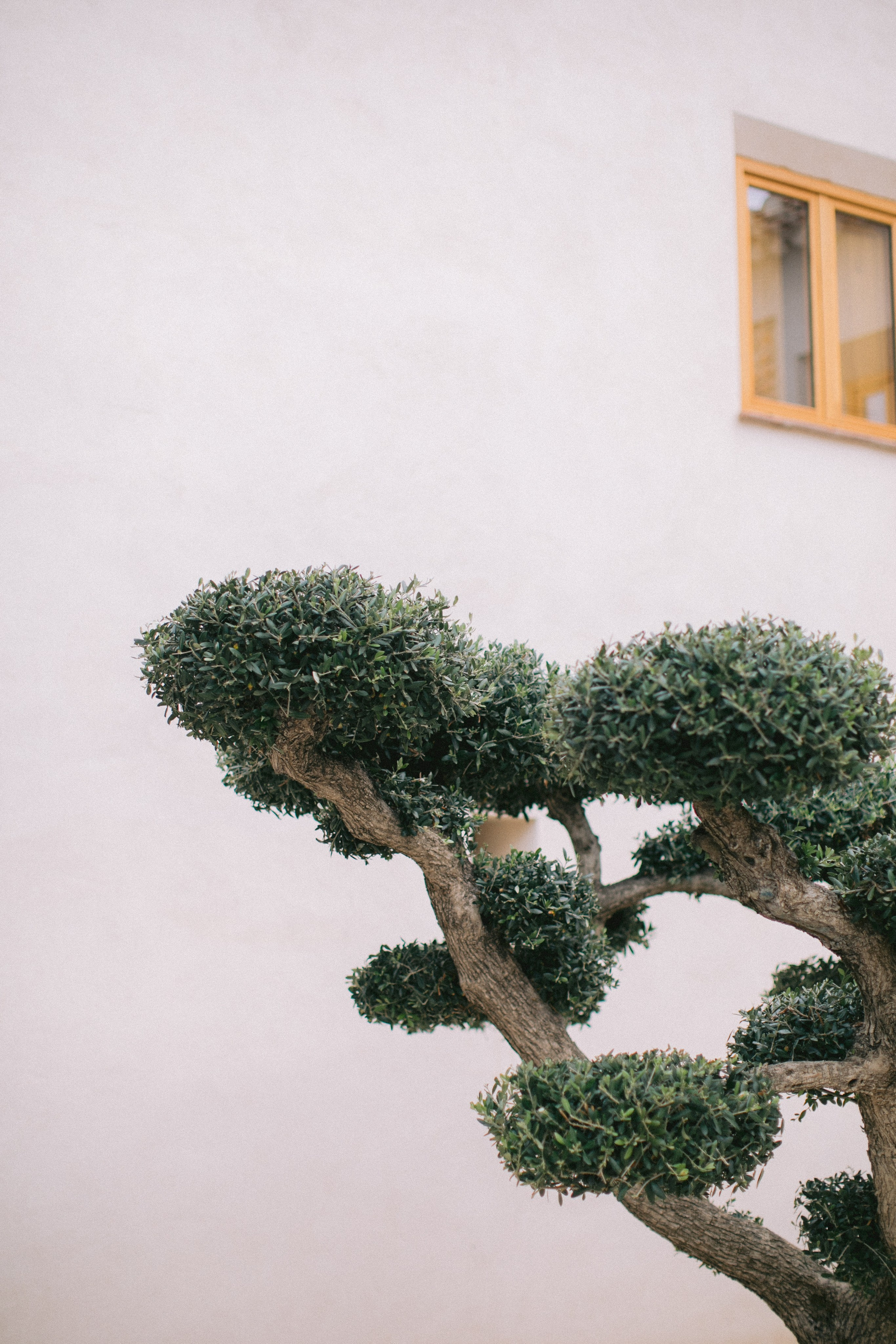 Boda en Tarragona, España. Yarets Studio | Videógrafos y Fotografía de Bodas | Barcelona
