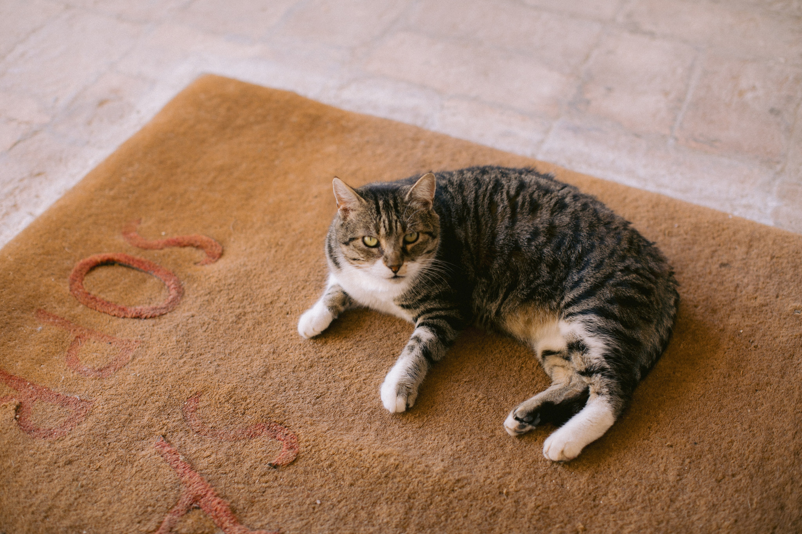 Wedding photography Italy. Yarets Studio | Wedding Films & Photography | Worldwide