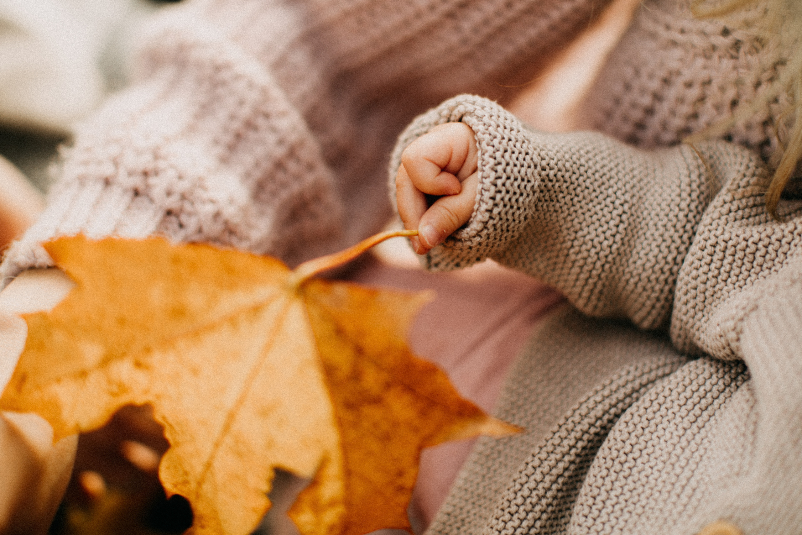 Autumn family story. Yarets Studio | Wedding Films & Photography | Worldwide