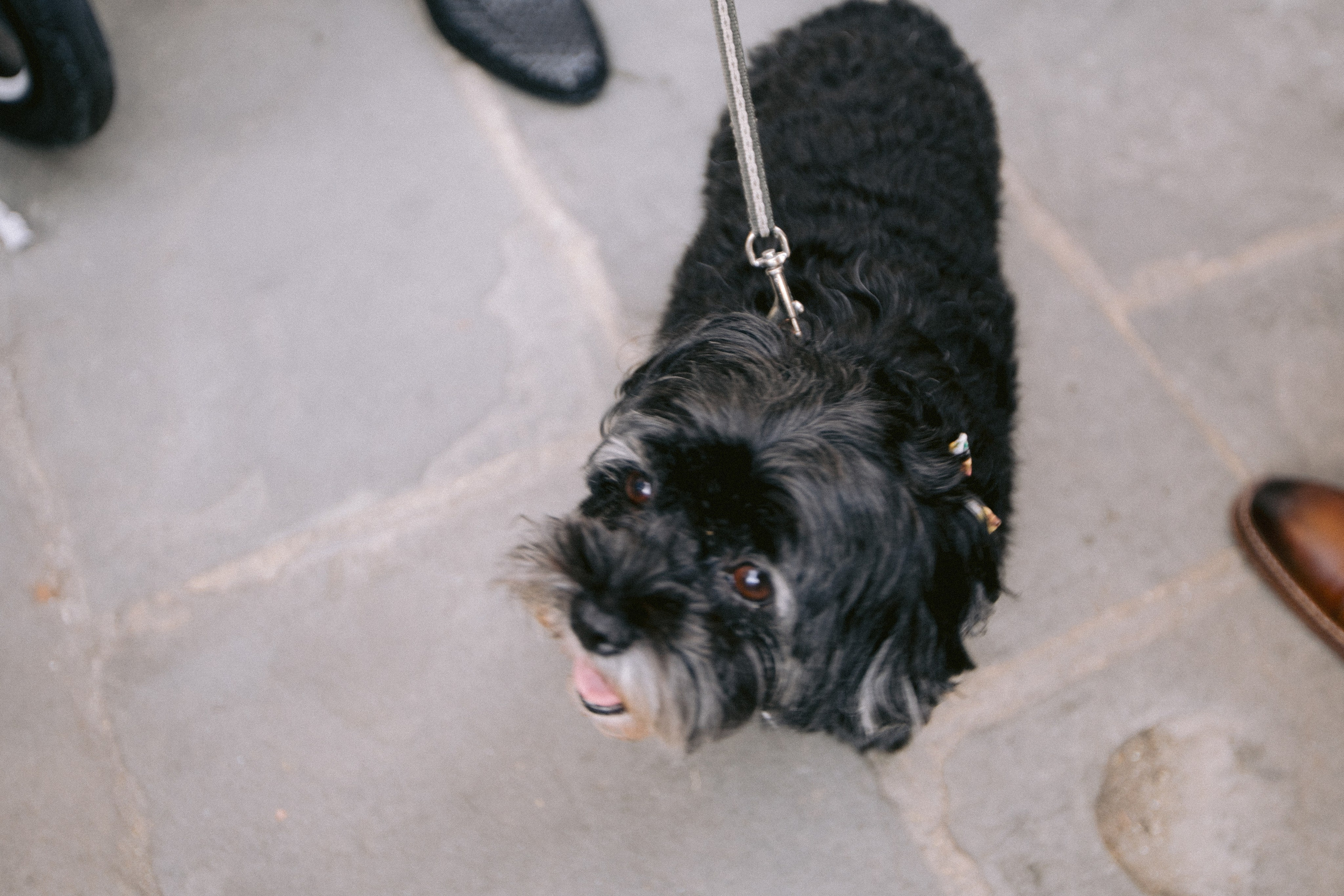 Boda en Cortona, Italia. Yarets Studio | Videógrafos y Fotografía de Bodas | Barcelona