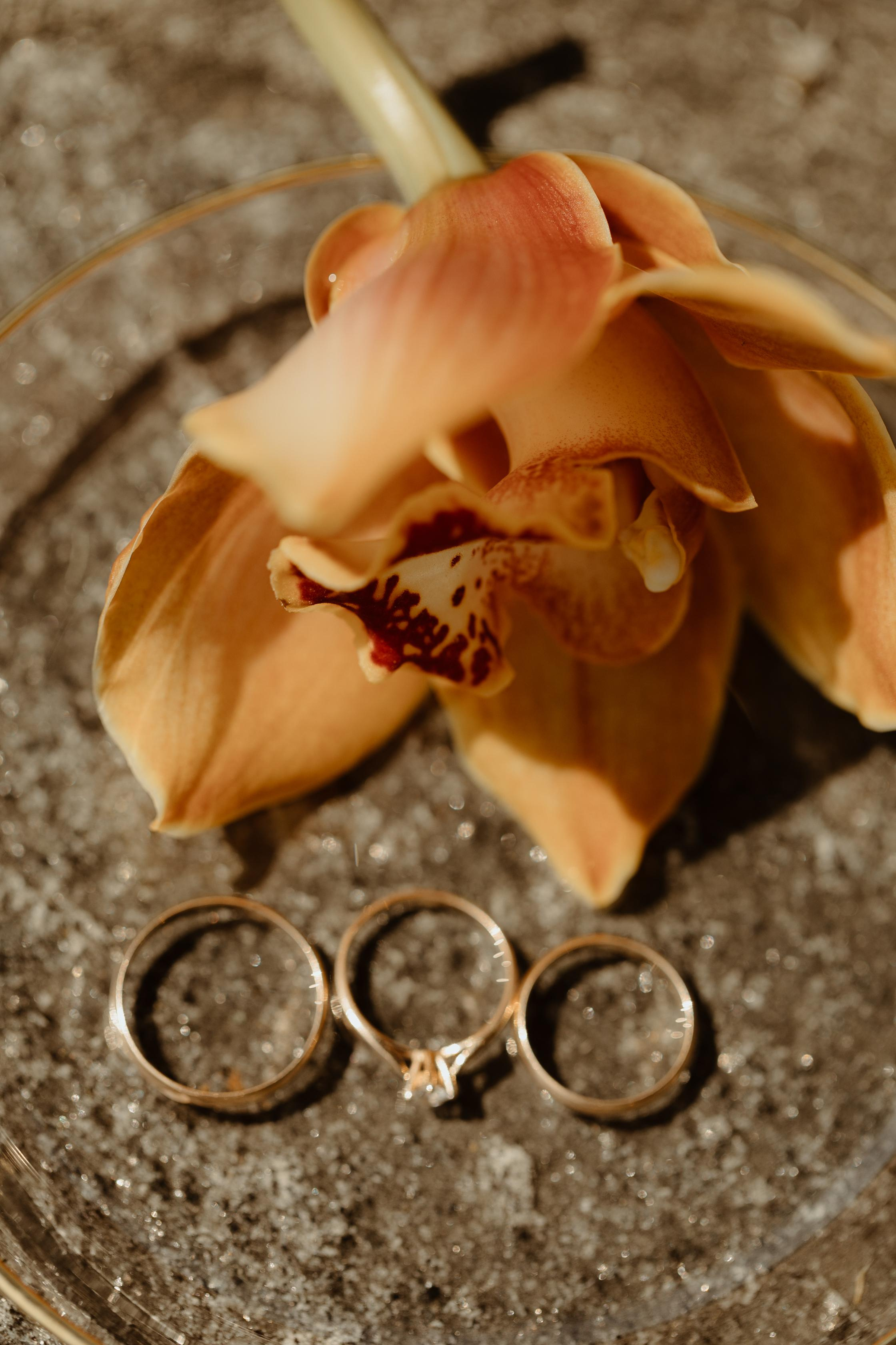 Wedding in Bellagio, Italy. Yarets Studio | Wedding Films & Photography | Worldwide