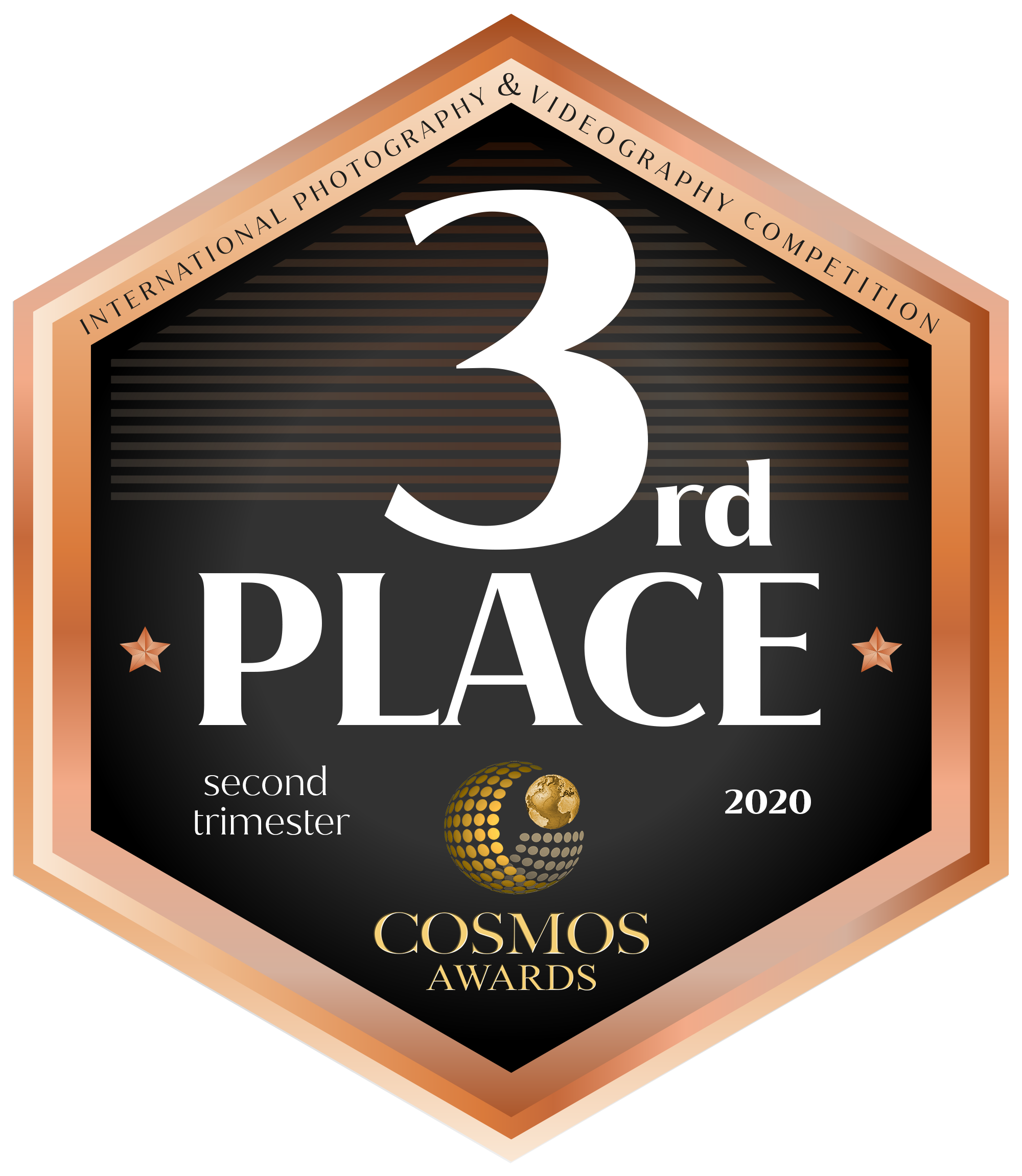 Wedding awards. Весільна Фото і відео Зйомка