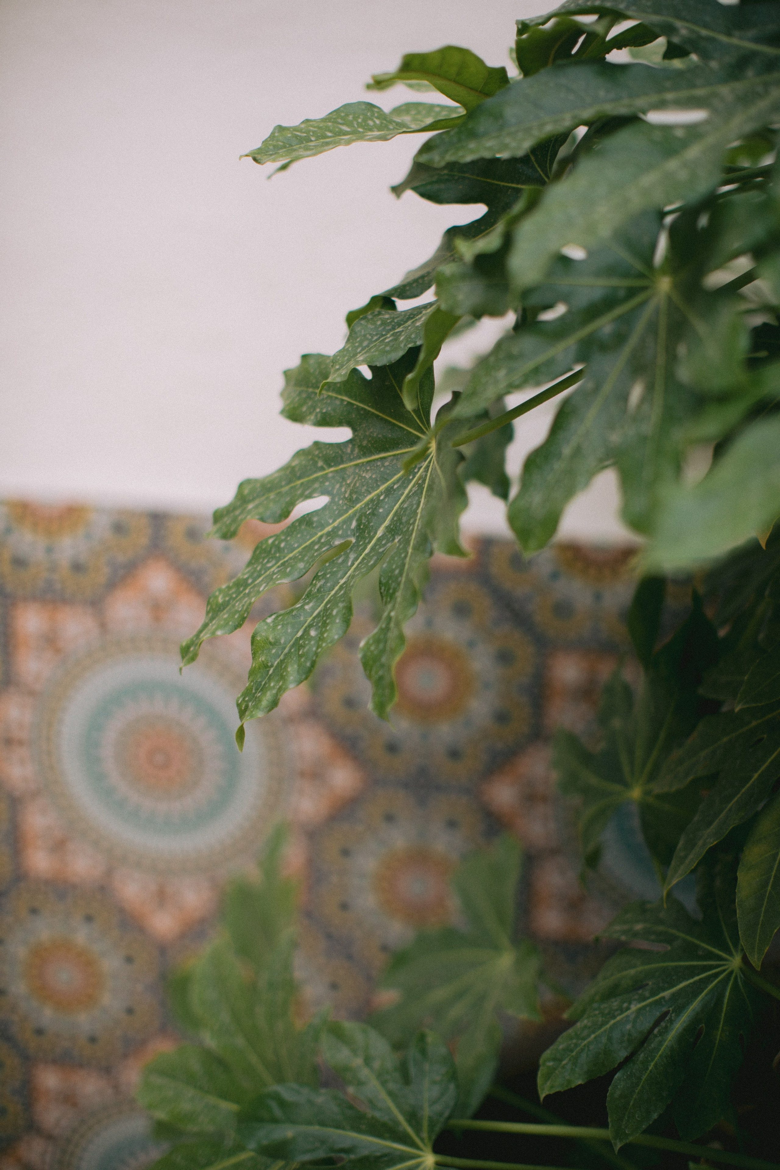 Boda en Tarragona, España. Yarets Studio | Videógrafos y Fotografía de Bodas | Barcelona