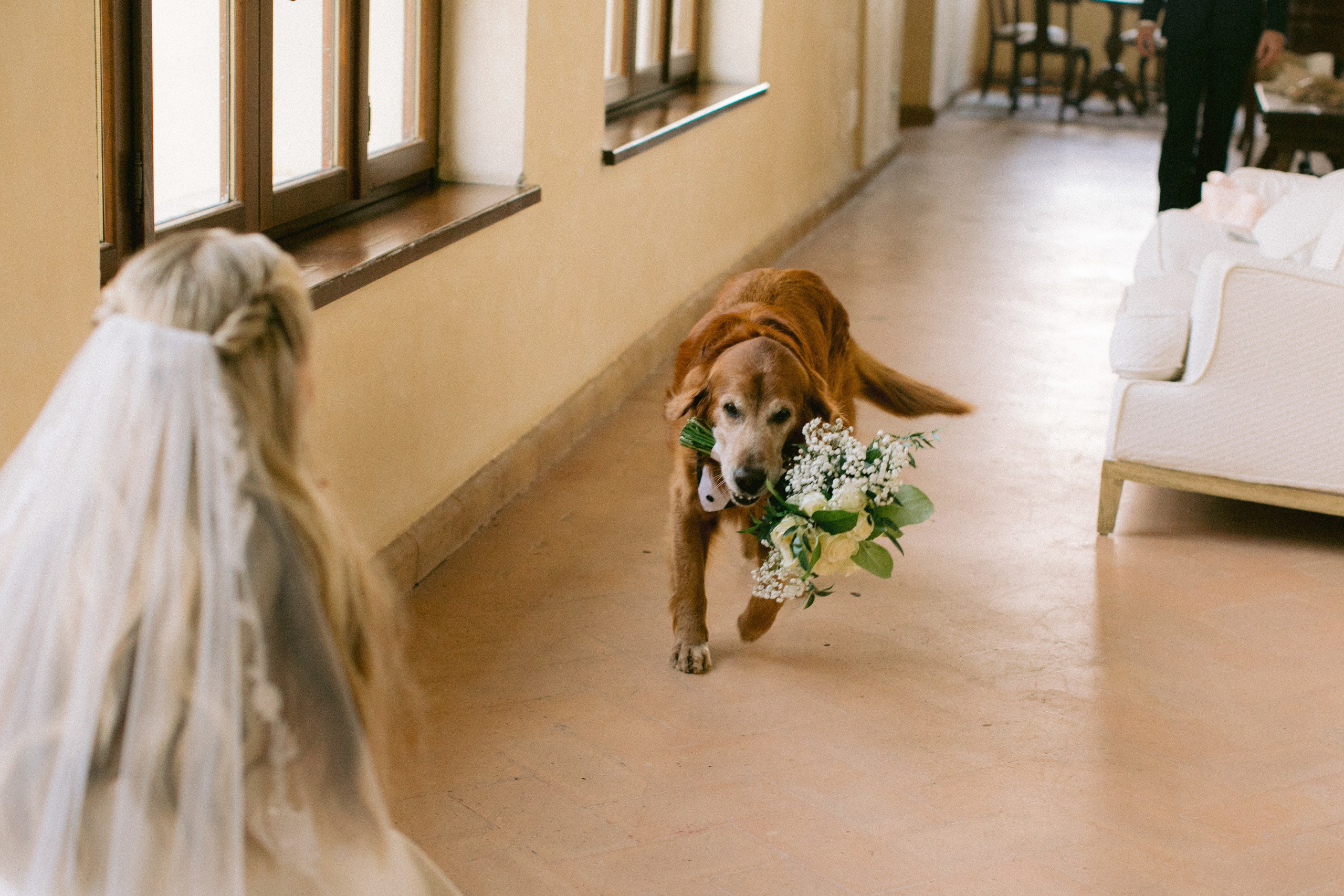 Wedding photography Italy. Yarets Studio | Wedding Films & Photography | Worldwide