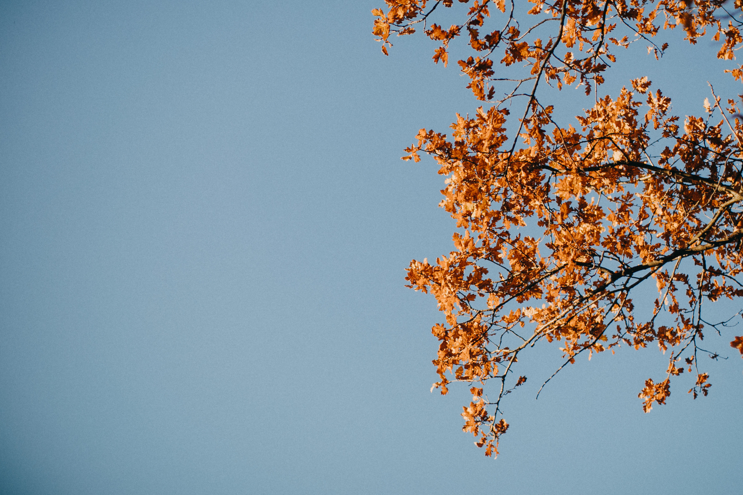 Вeautiful october. Yarets Studio | Videógrafos y Fotografía de Bodas | Barcelona