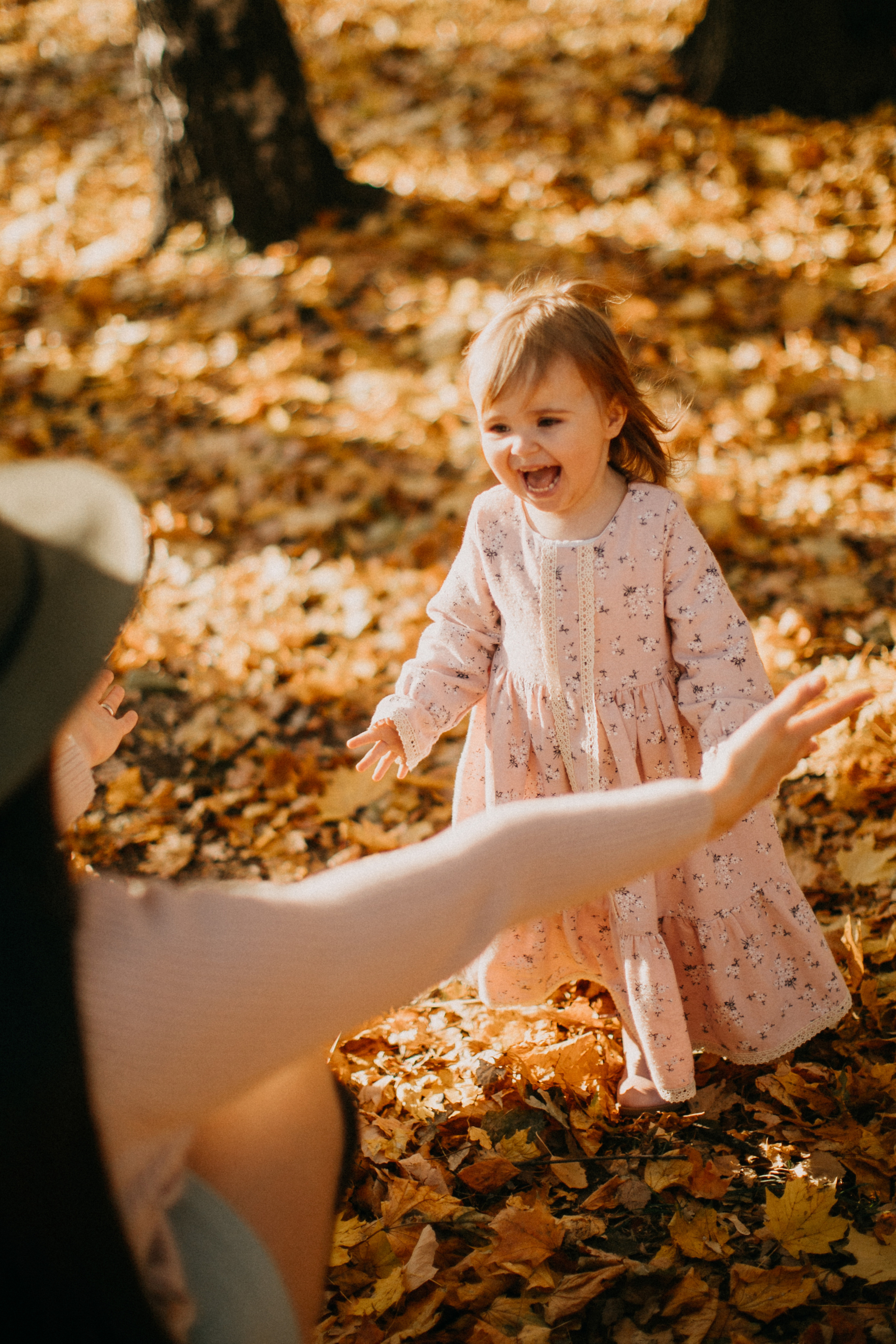 Sweet moments. Весільна Фото і відео Зйомка