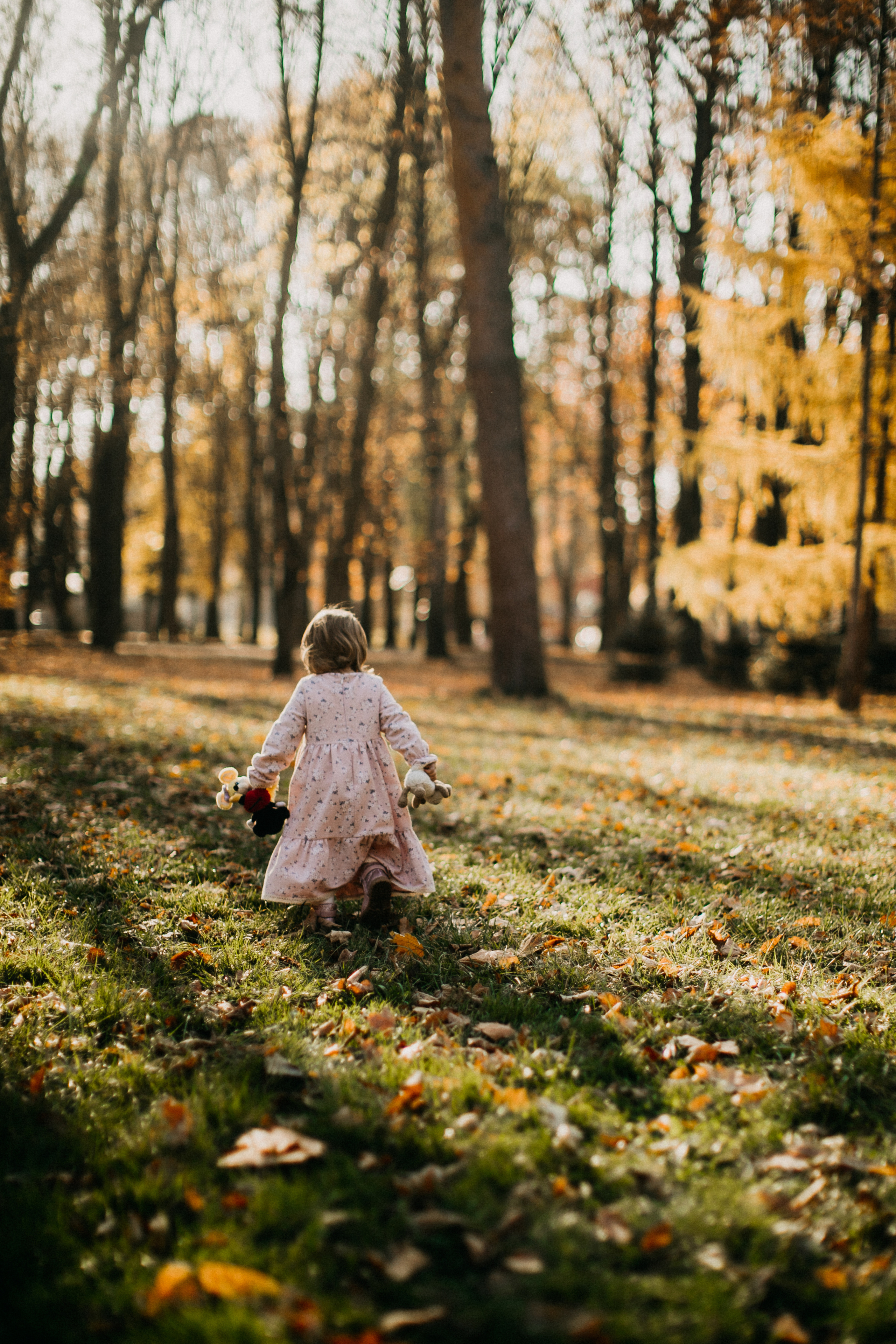 Sweet moments. Весільна Фото і відео Зйомка