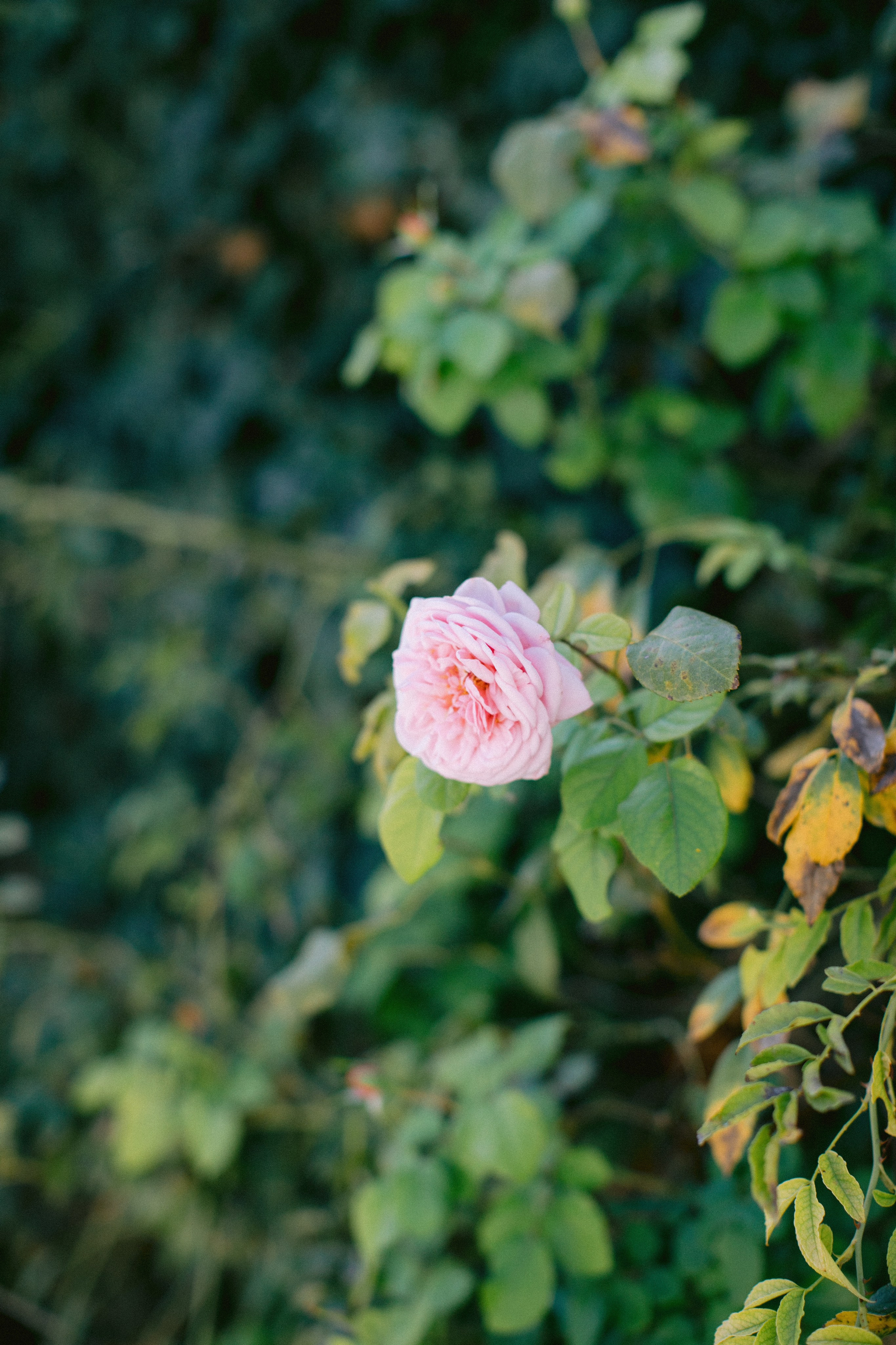 Wedding photography Italy. Yarets Studio | Wedding Films & Photography | Worldwide