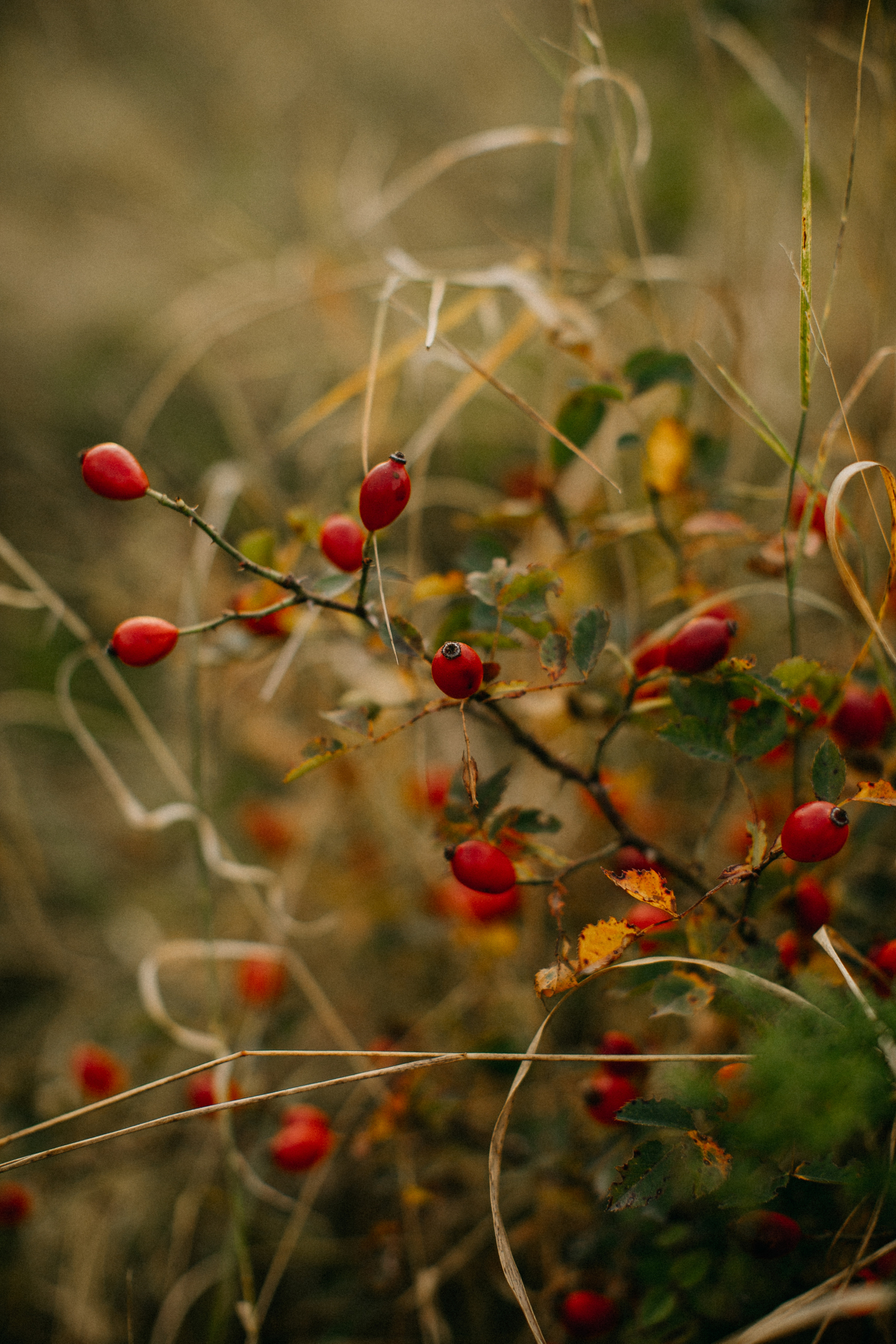 Summer story. Yarets Studio | Videógrafos y Fotografía de Bodas | Barcelona