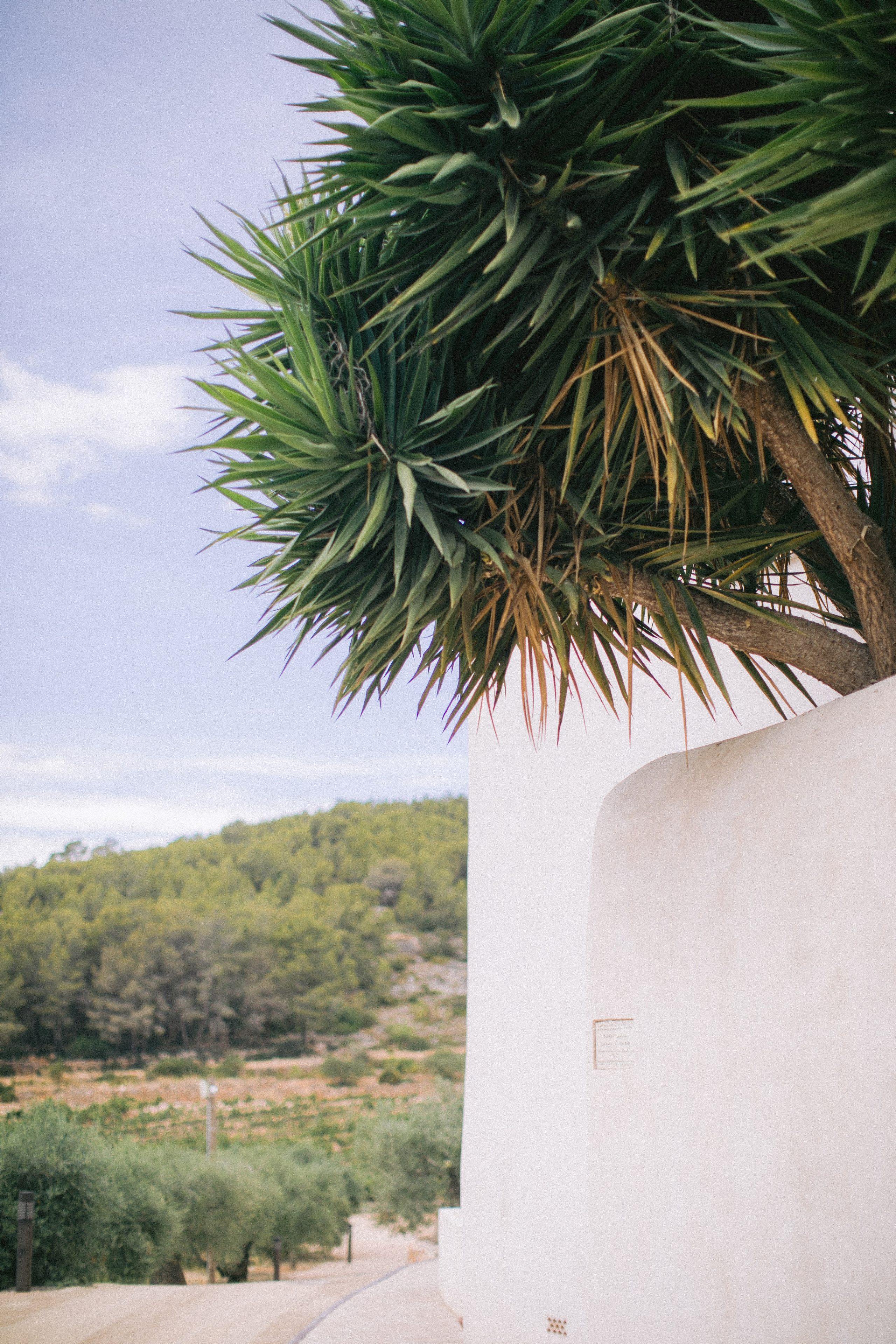 Boda en Tarragona, España. Yarets Studio | Videógrafos y Fotografía de Bodas | Barcelona