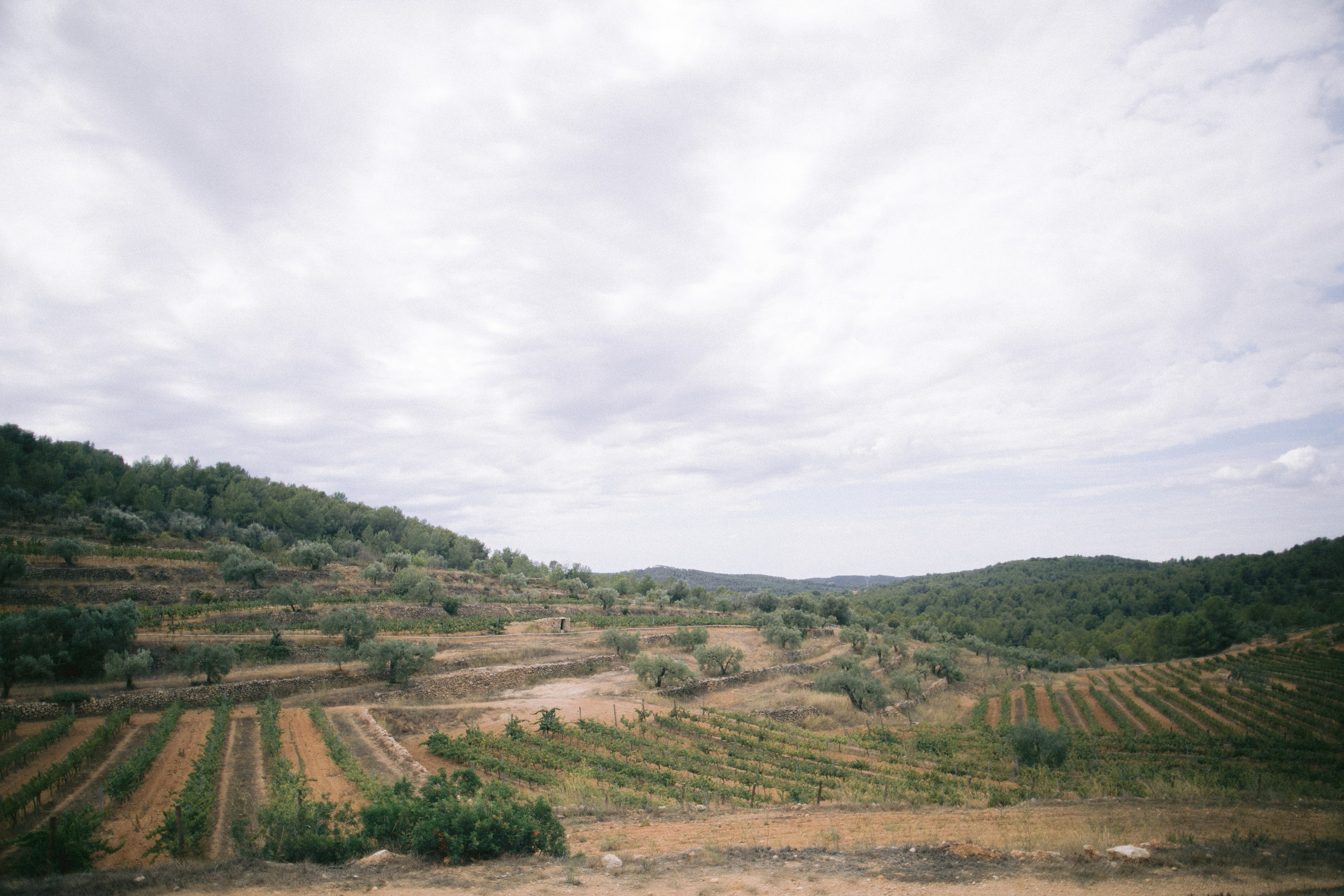 Boda en Tarragona, España. Yarets Studio | Videógrafos y Fotografía de Bodas | Barcelona