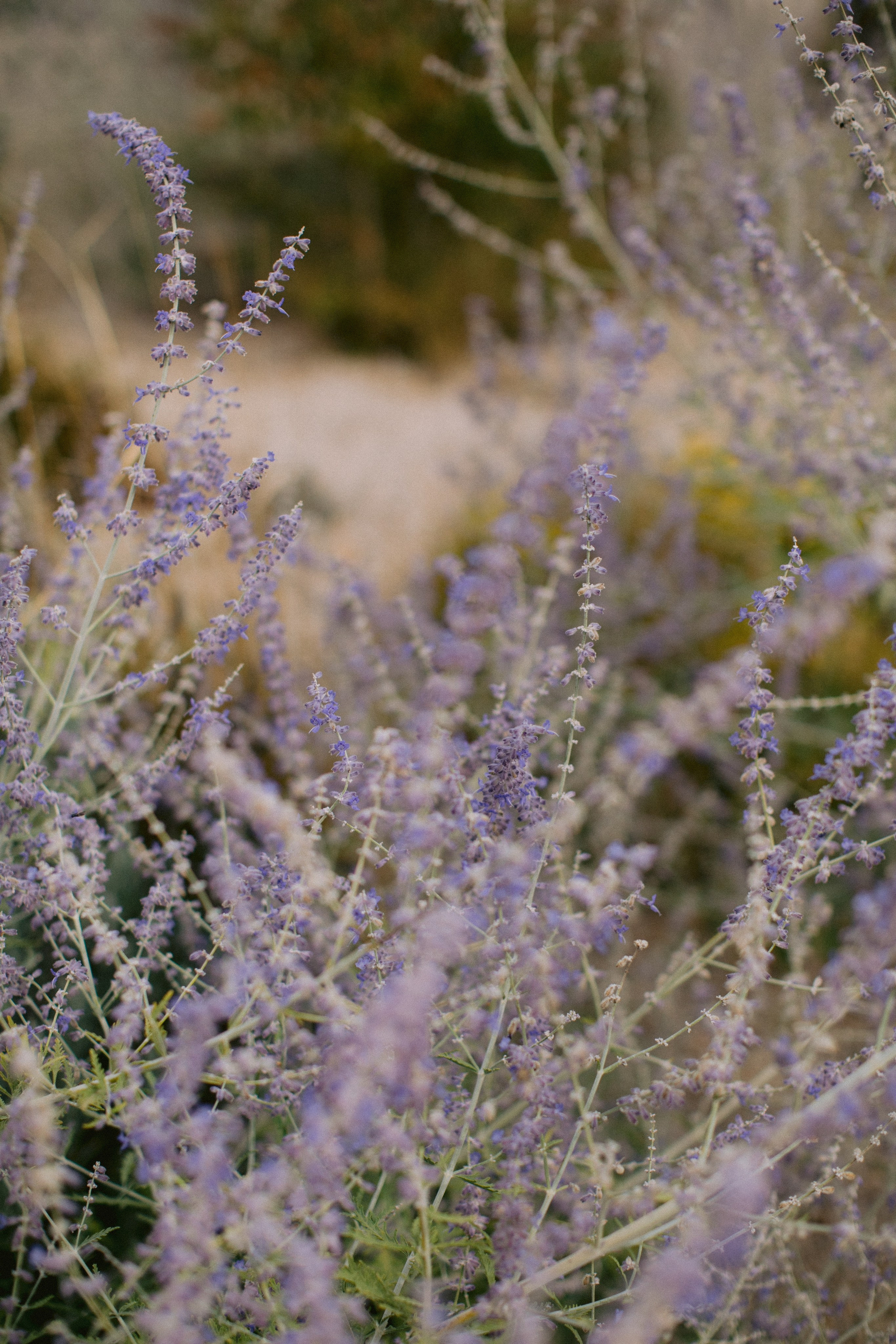 Boda en Tarragona, España. Yarets Studio | Videógrafos y Fotografía de Bodas | Barcelona