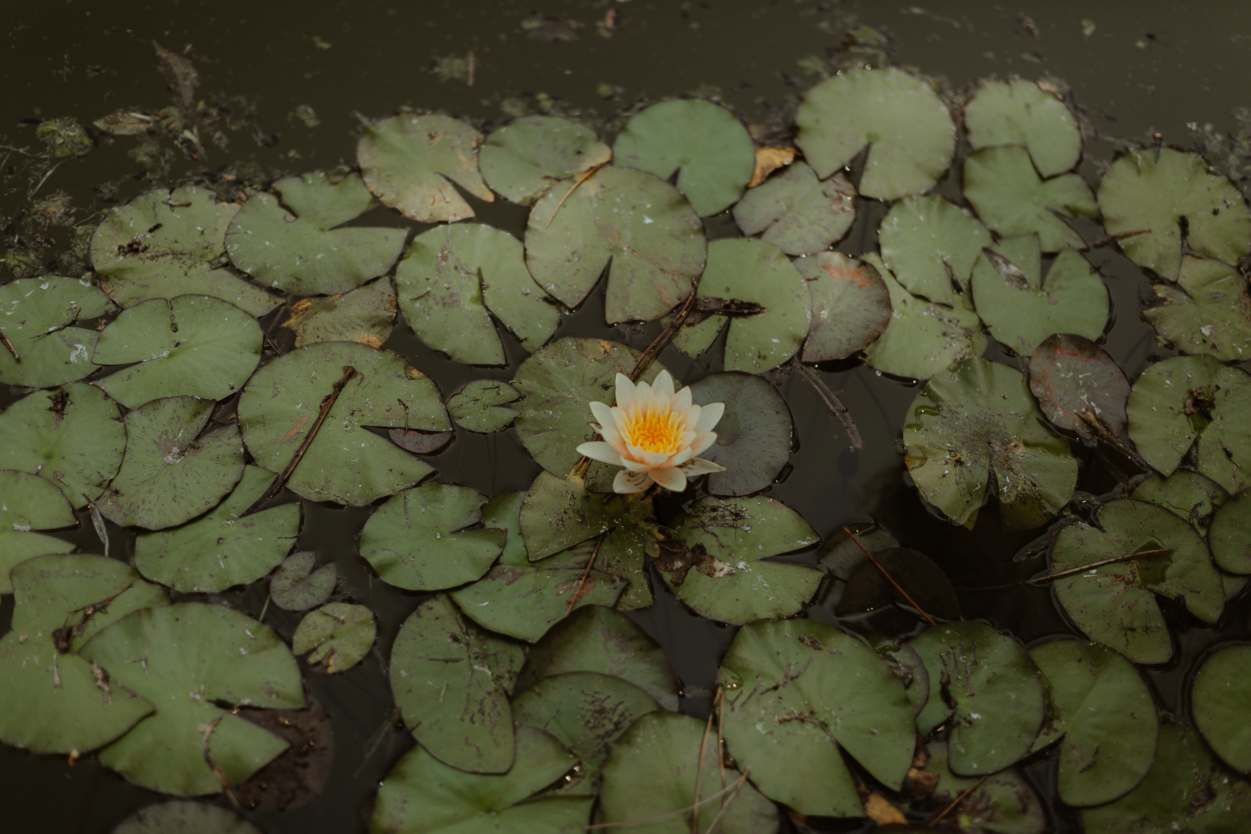 Weddin in Antibes, France. Yarets Studio | Wedding Films & Photography | Worldwide
