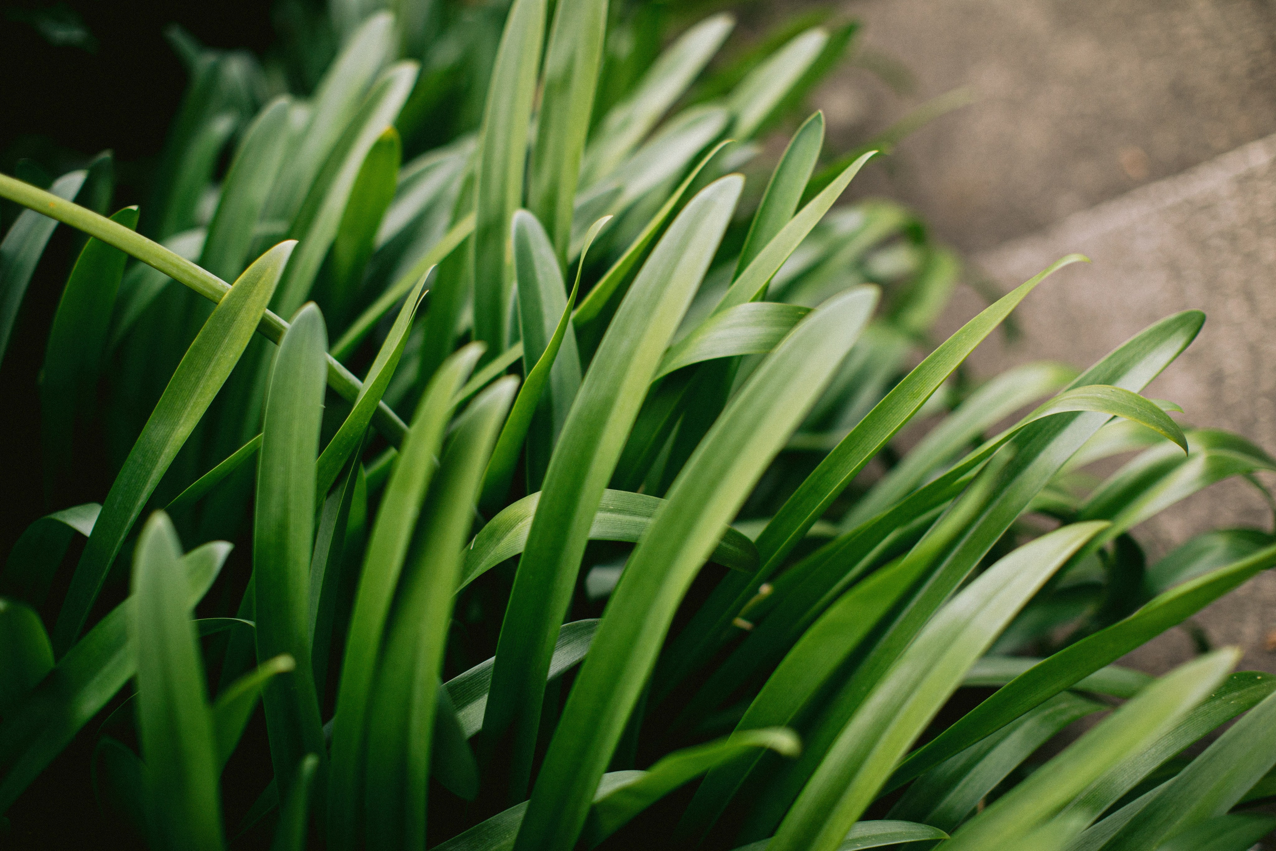 Boda en Pousada de Amares, Portugal. Yarets Studio | Videógrafos y Fotografía de Bodas | Barcelona