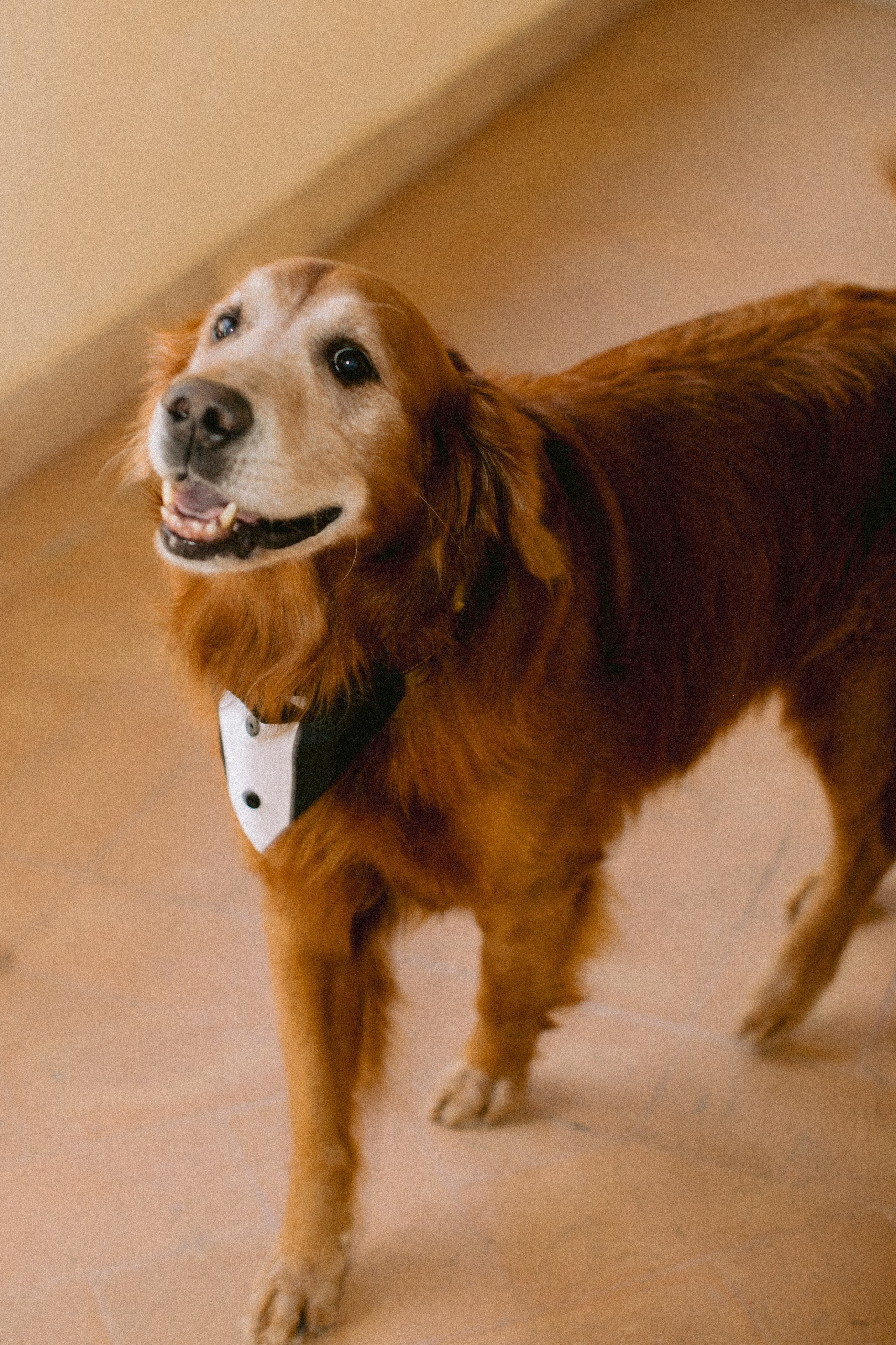 Wedding photography Italy. Yarets Studio | Wedding Films & Photography | Worldwide